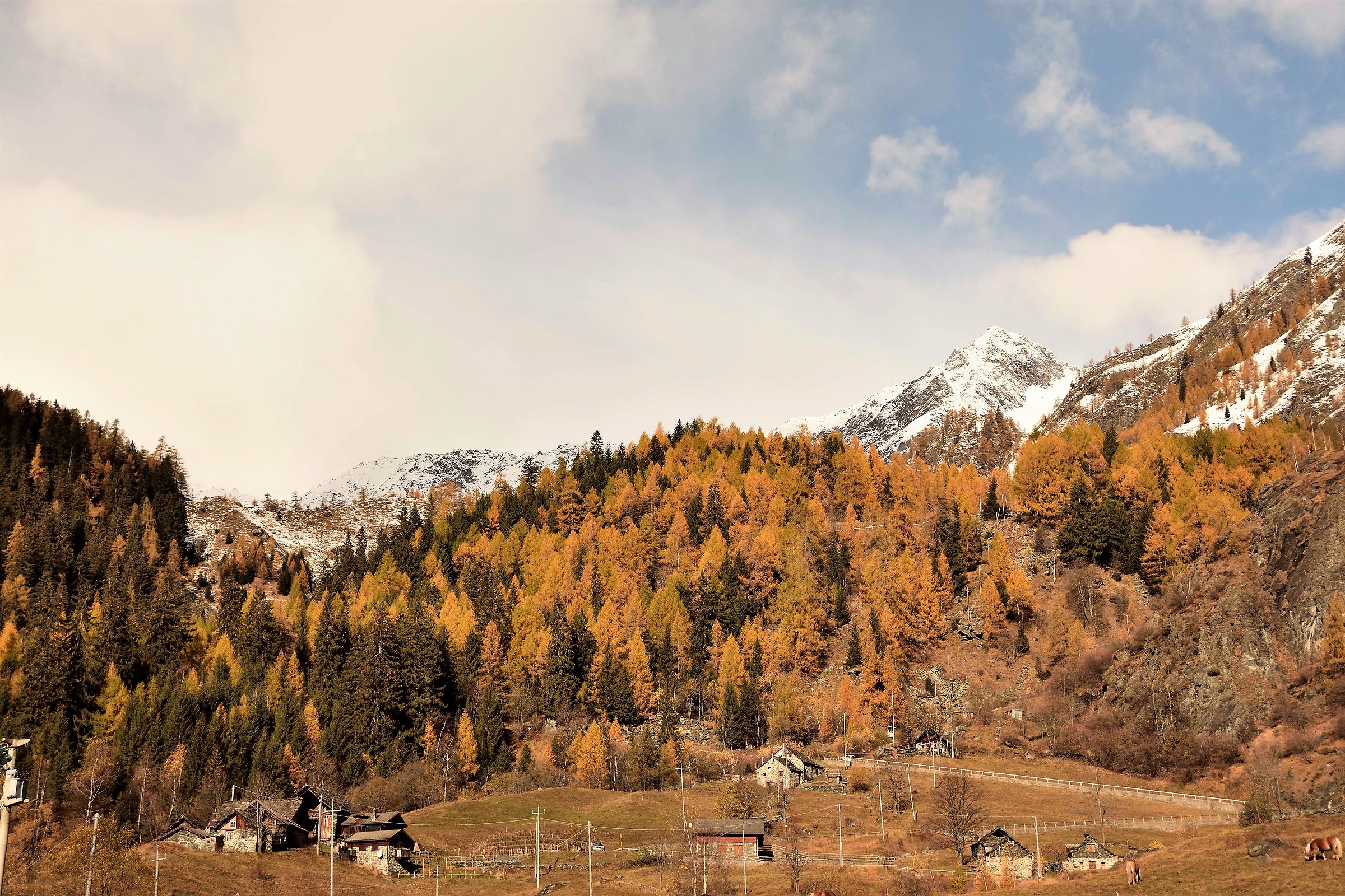 just below the lake of Cheggio