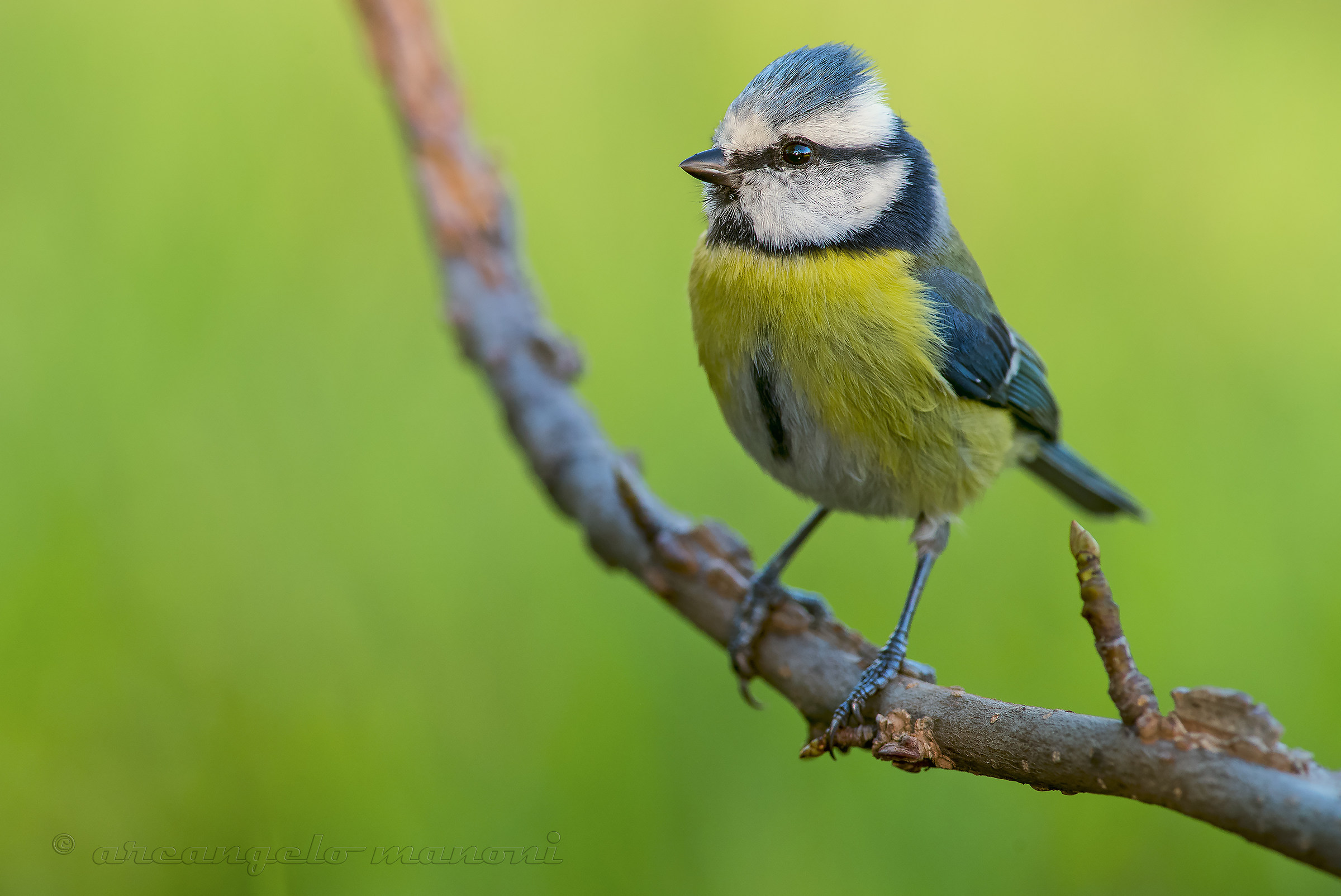 My world in her eyes