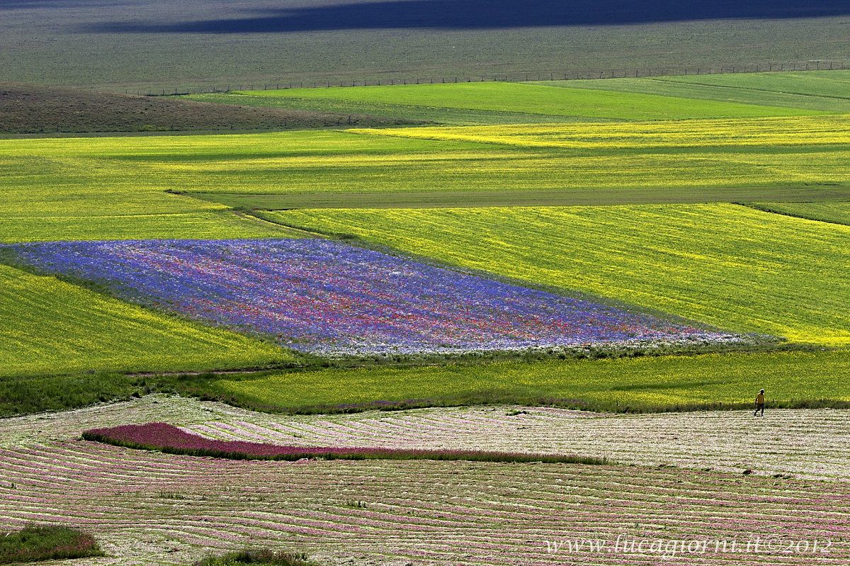 La Piana di Castelluccio