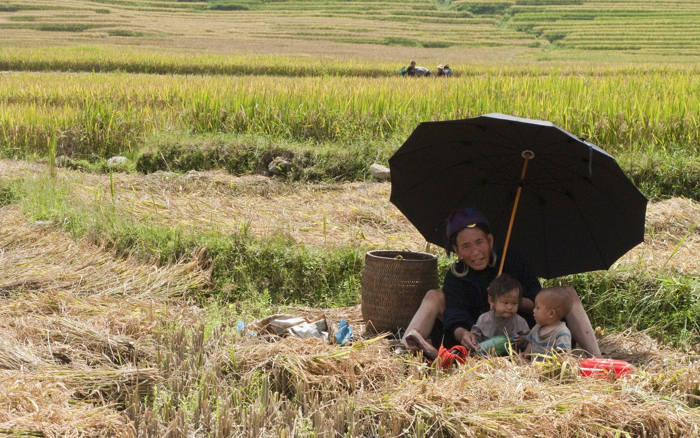 Ombrela - Sapa Vietnam