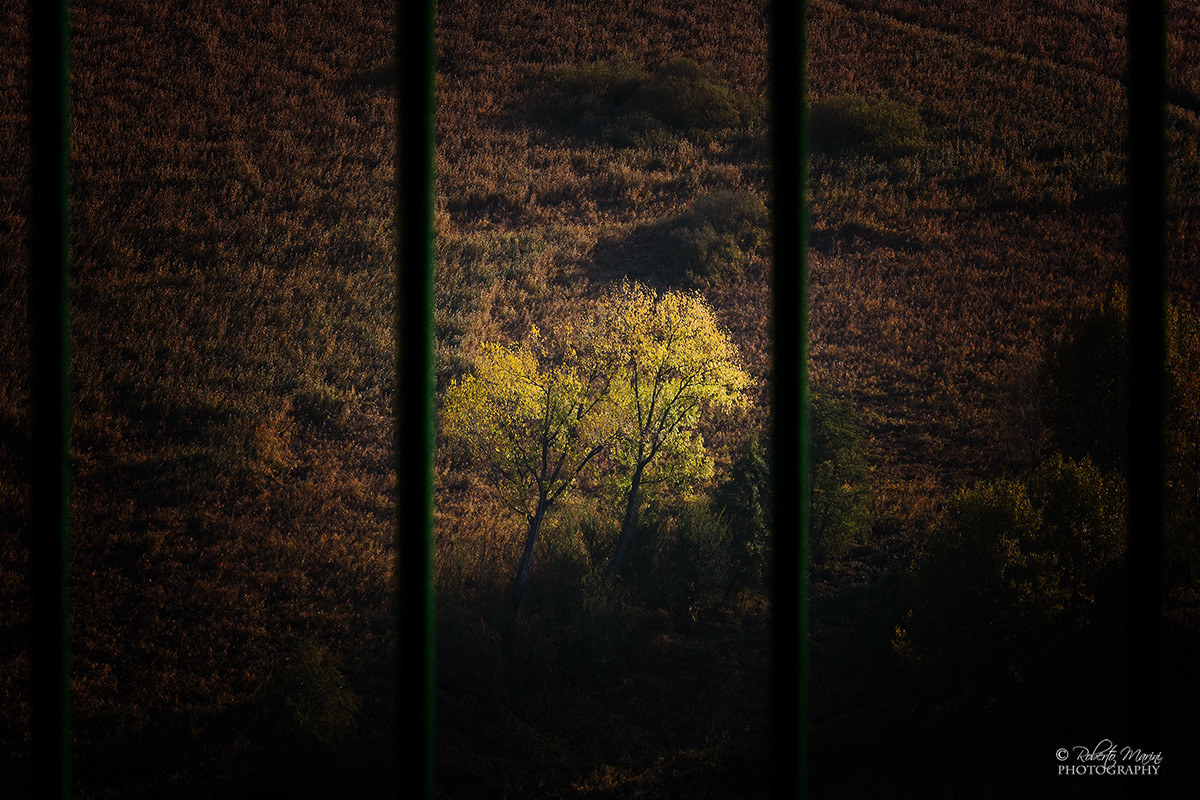 prigionieri d'autunno