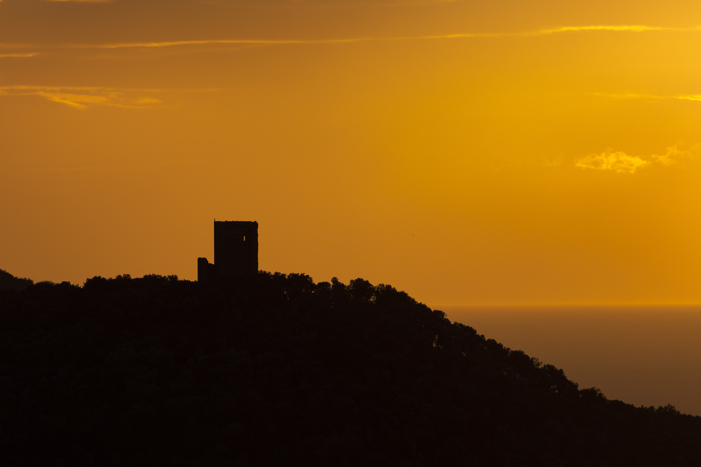 the tower of Donoratico