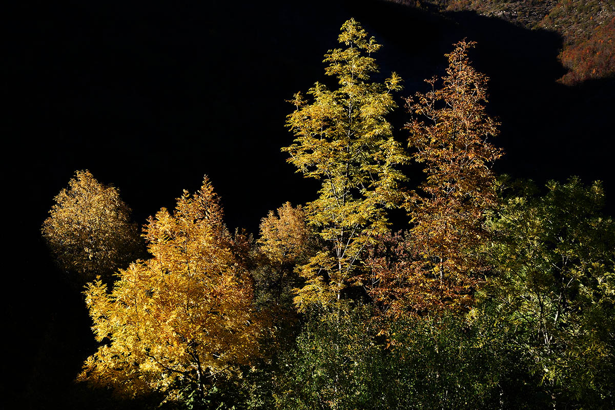 Autumn to the Taburri