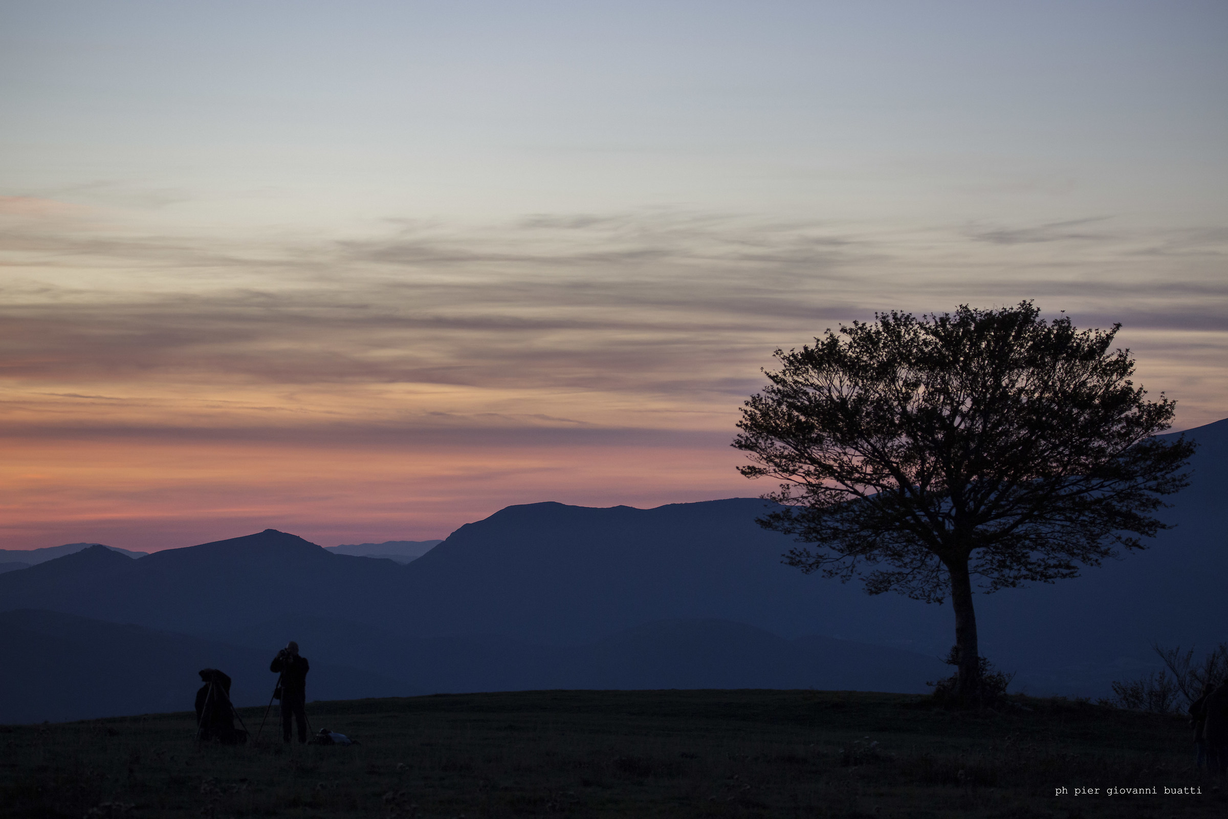 Tramonto con albero e persone