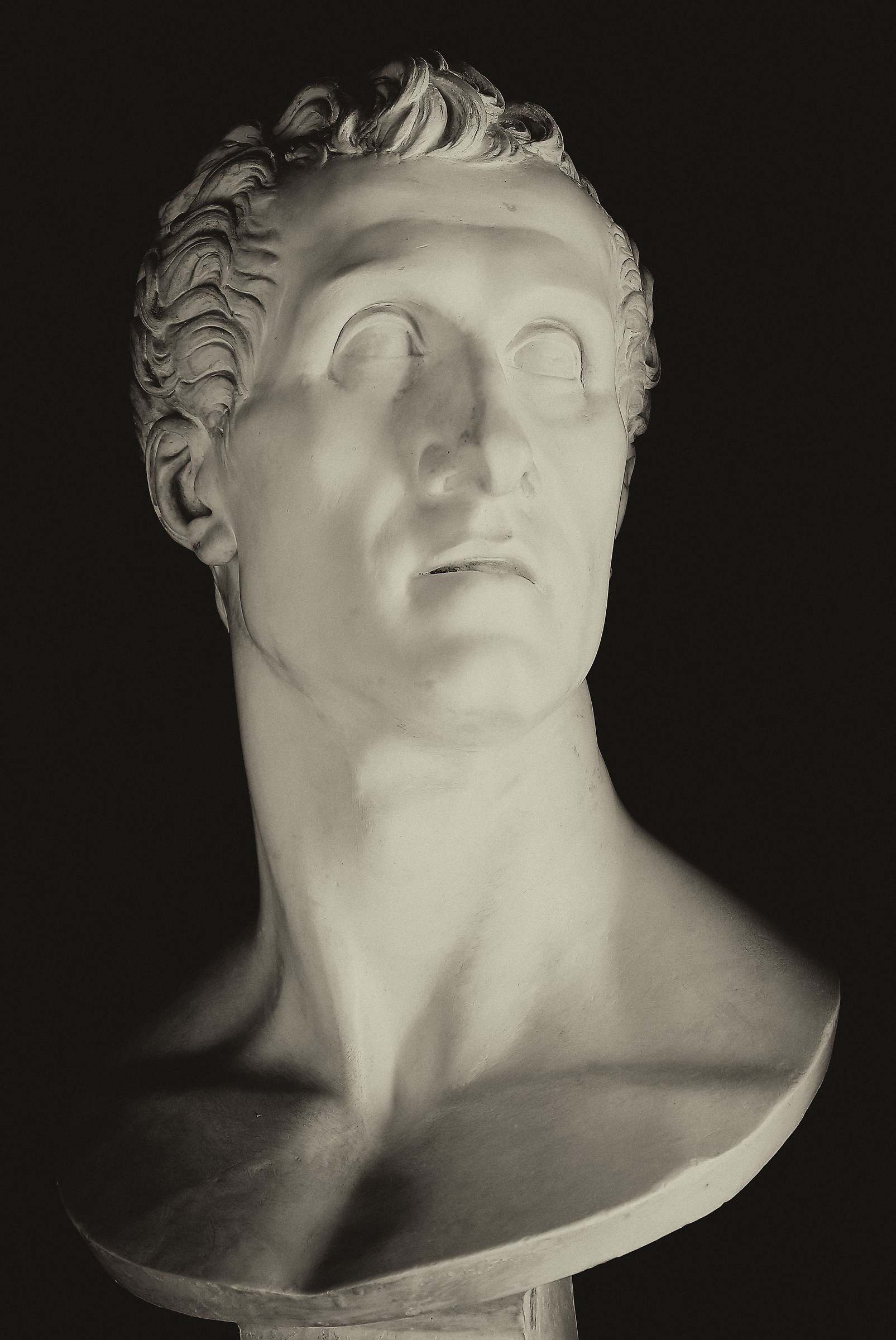 Villa Baruzziana. Bust.