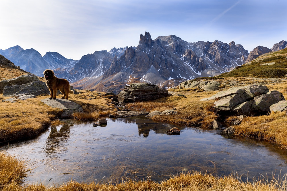 Now, however, we take a bath ...