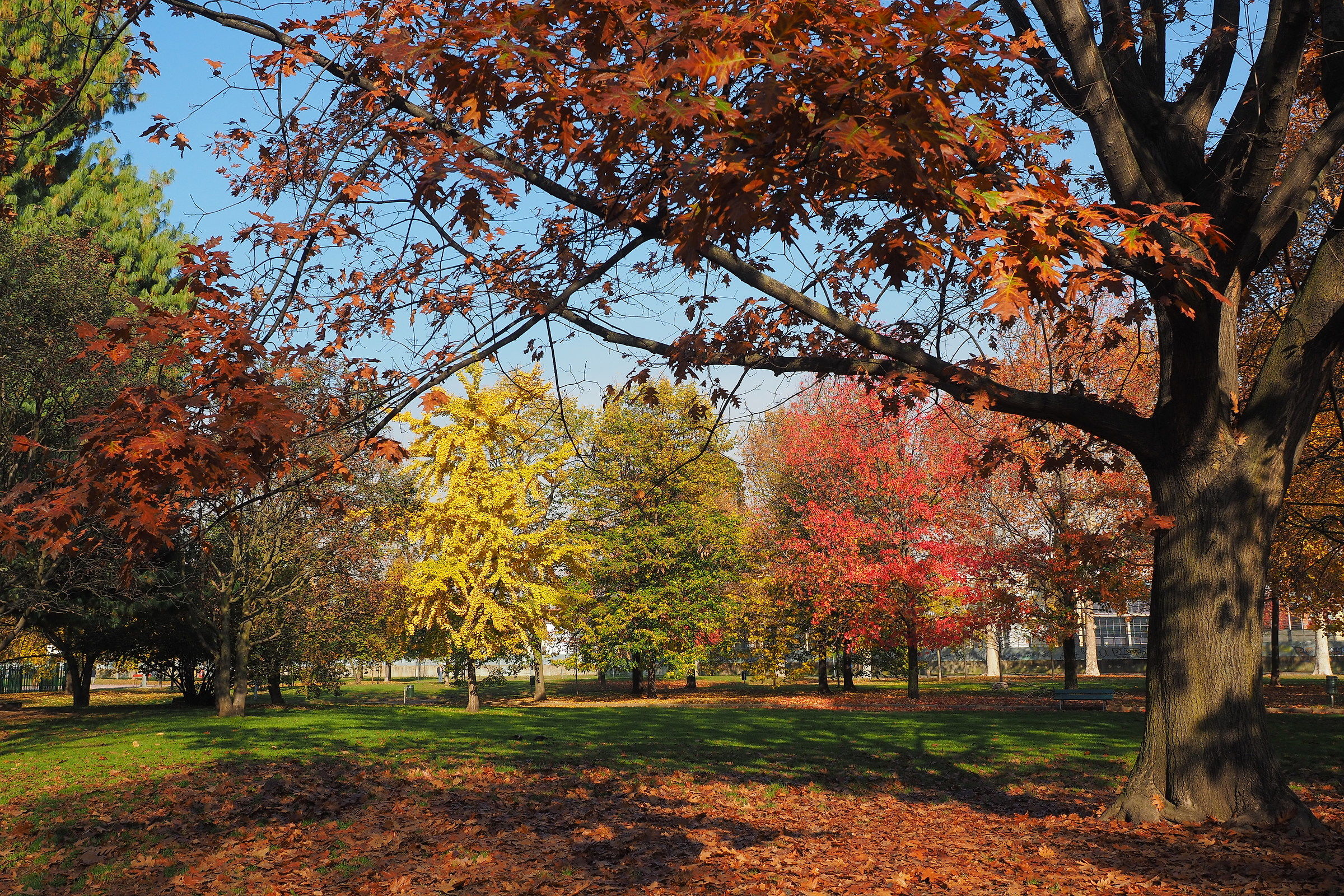 Il giallo, il verde, il rosso...un anno dopo.