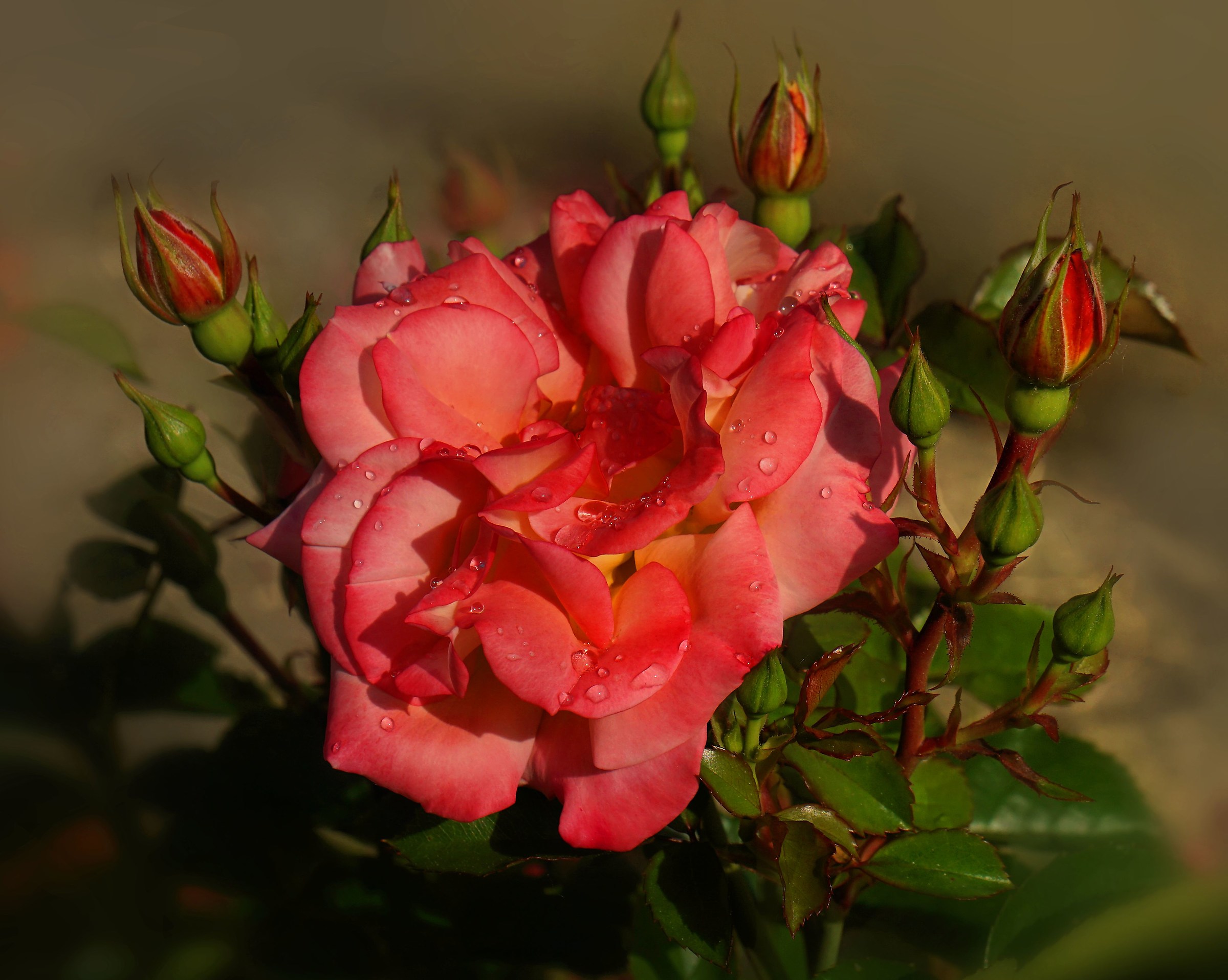 After the rain, the light.