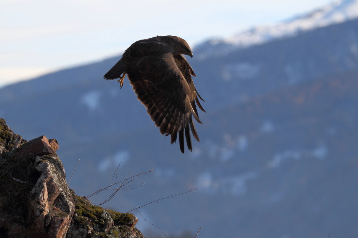 Flying over the valley