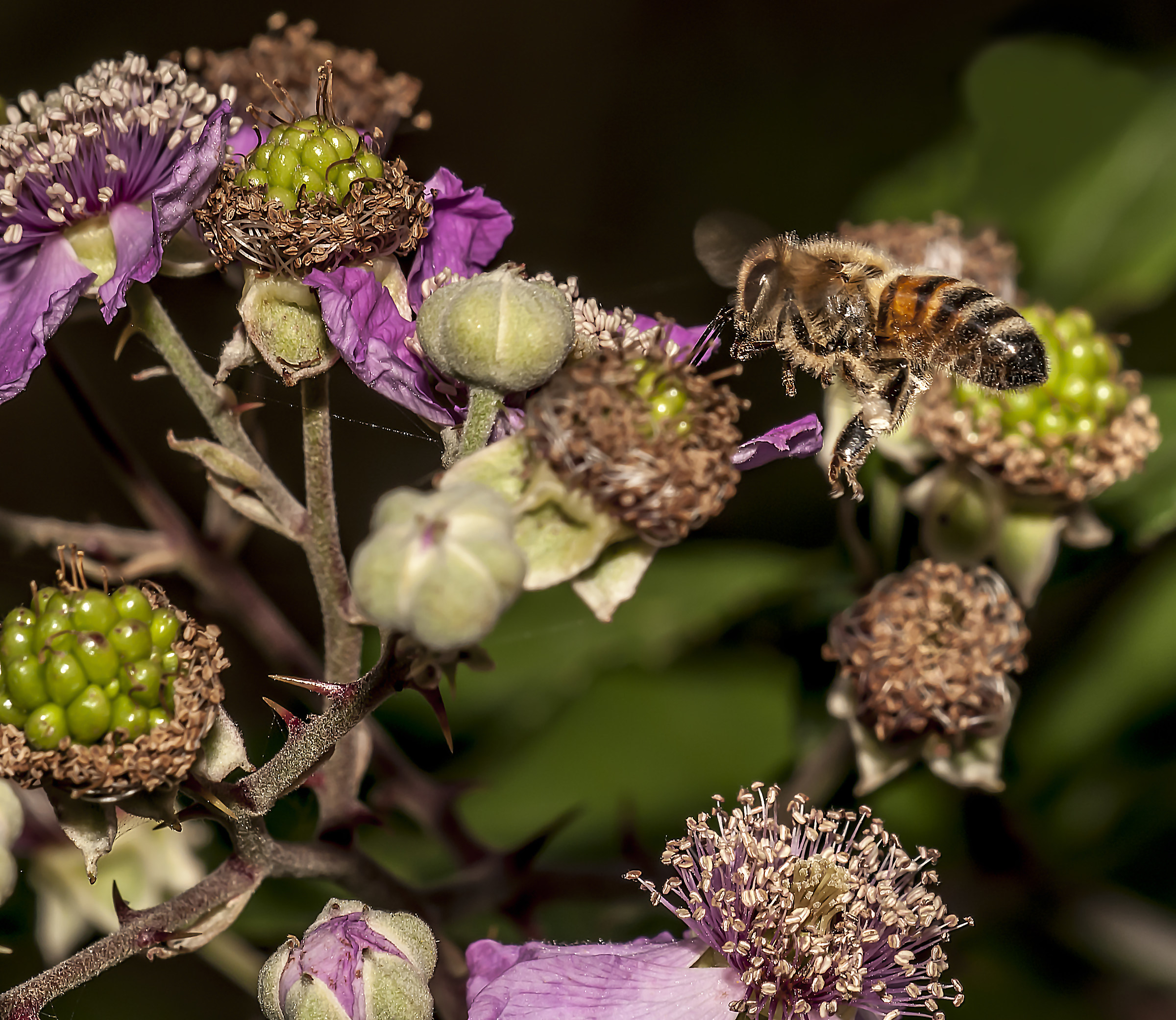 in the landing stage ..