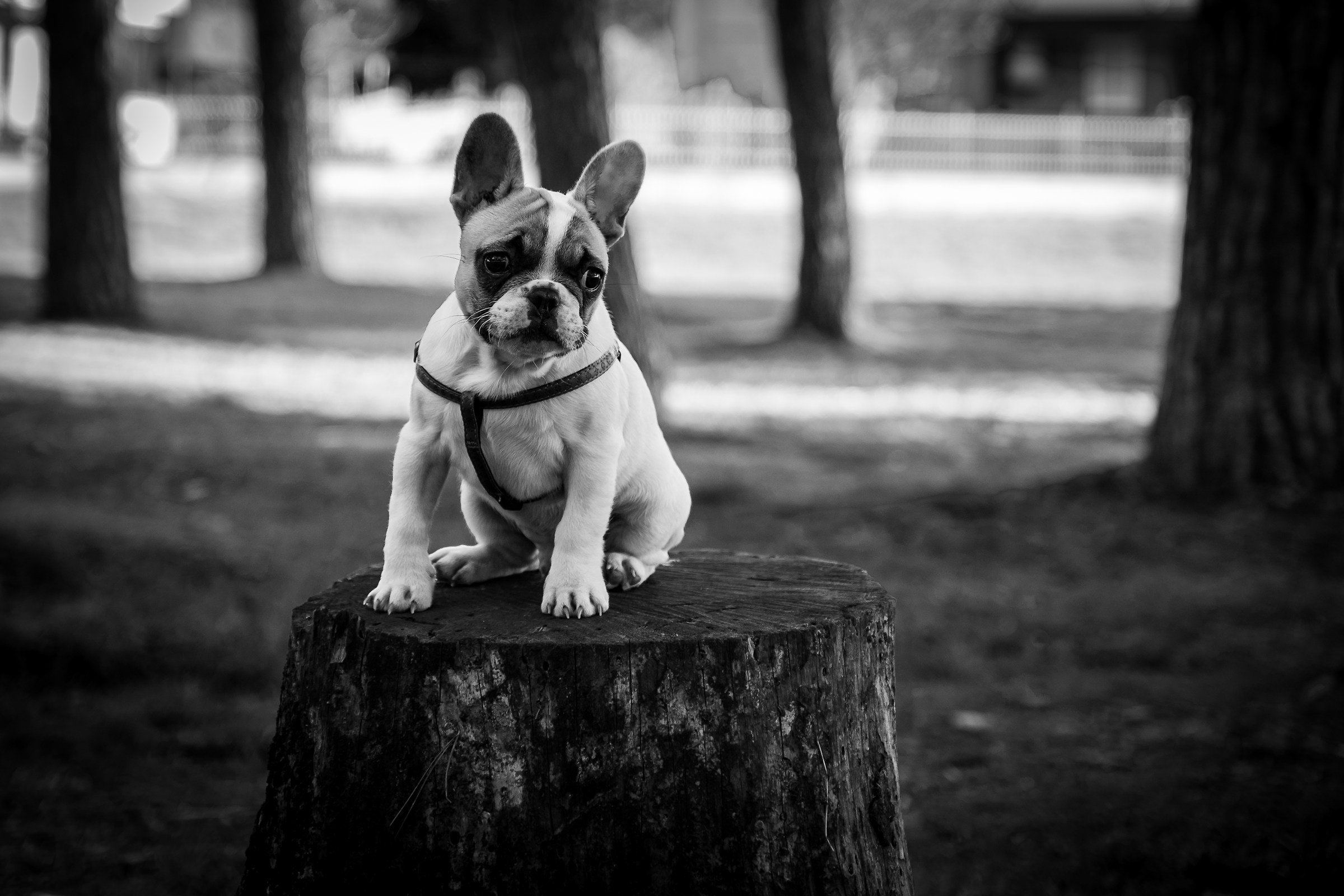 The little one at home