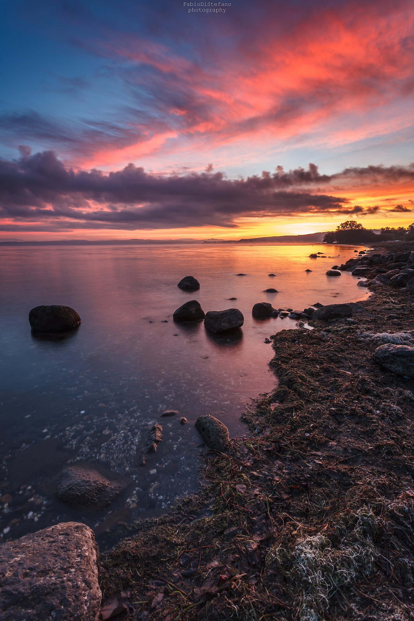 One hundred ... 50 shades of lake