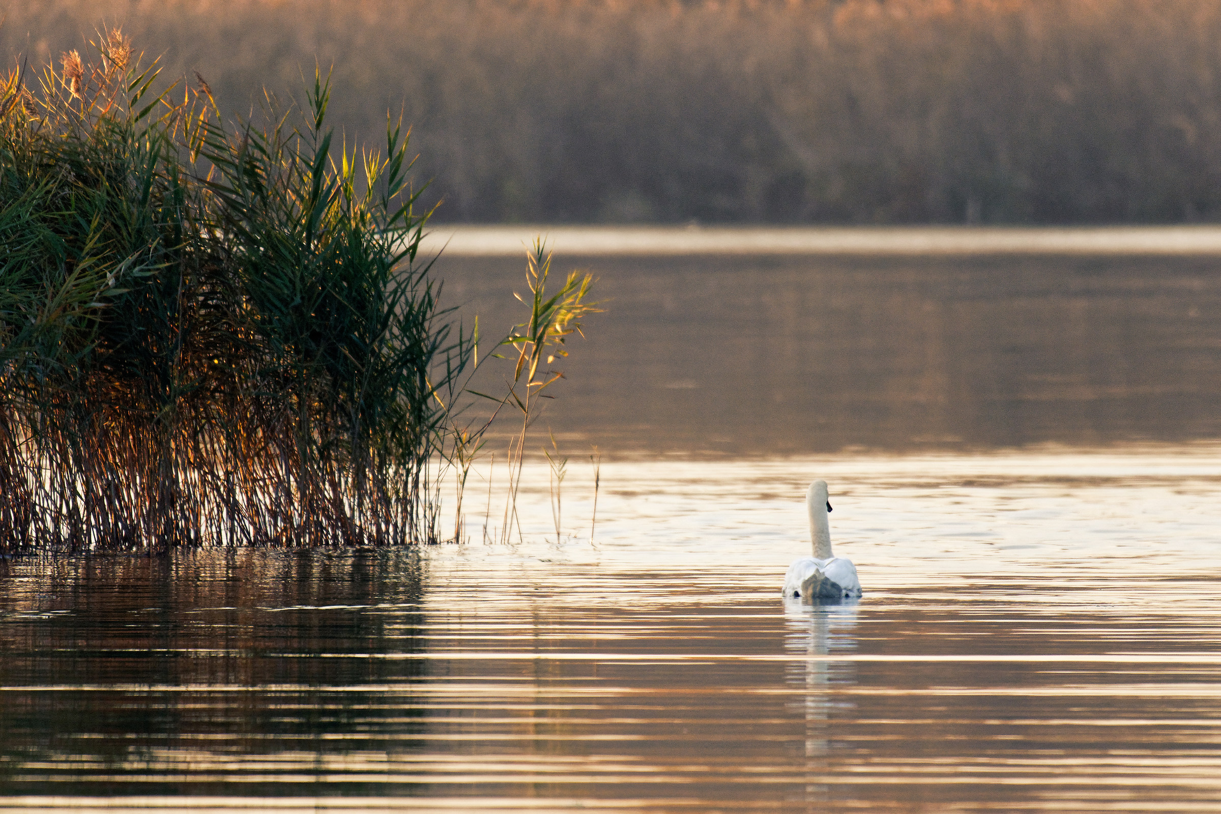 At the end of the day