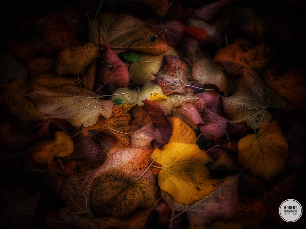 United Colors of Autumn