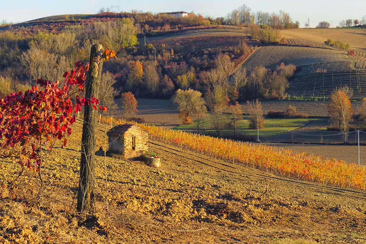 high monferrato