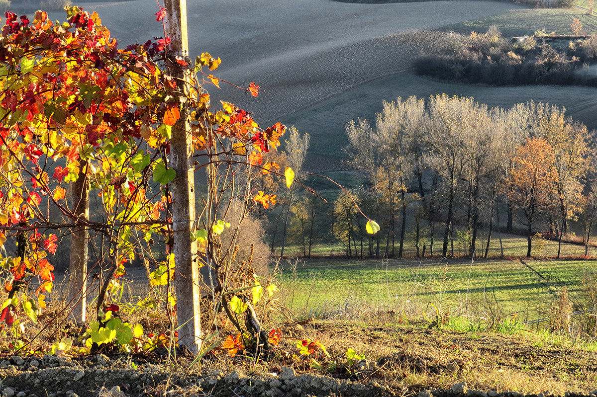 high monferrato 2