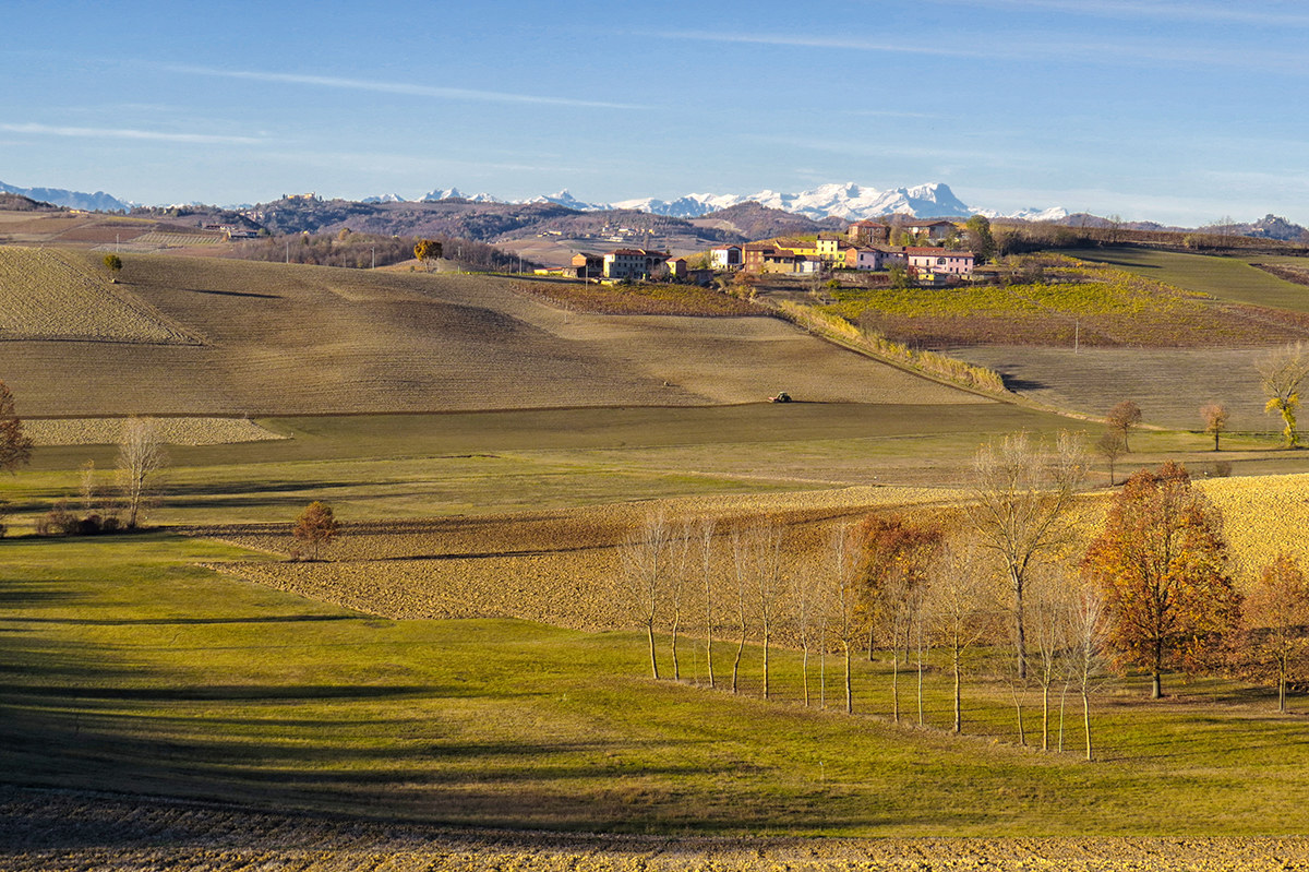 high monferrato 3