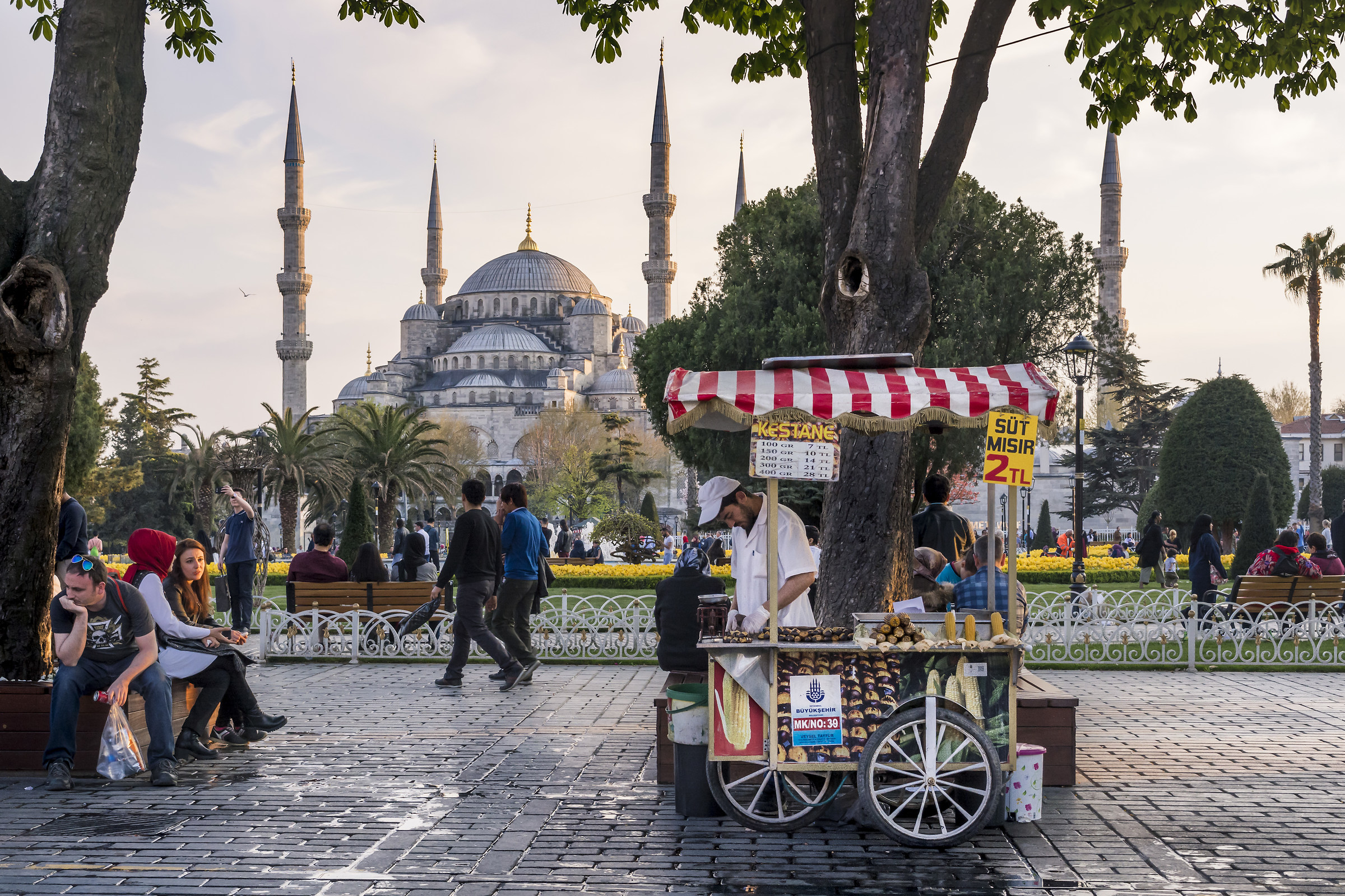 Venditore di castagne, Istanbul