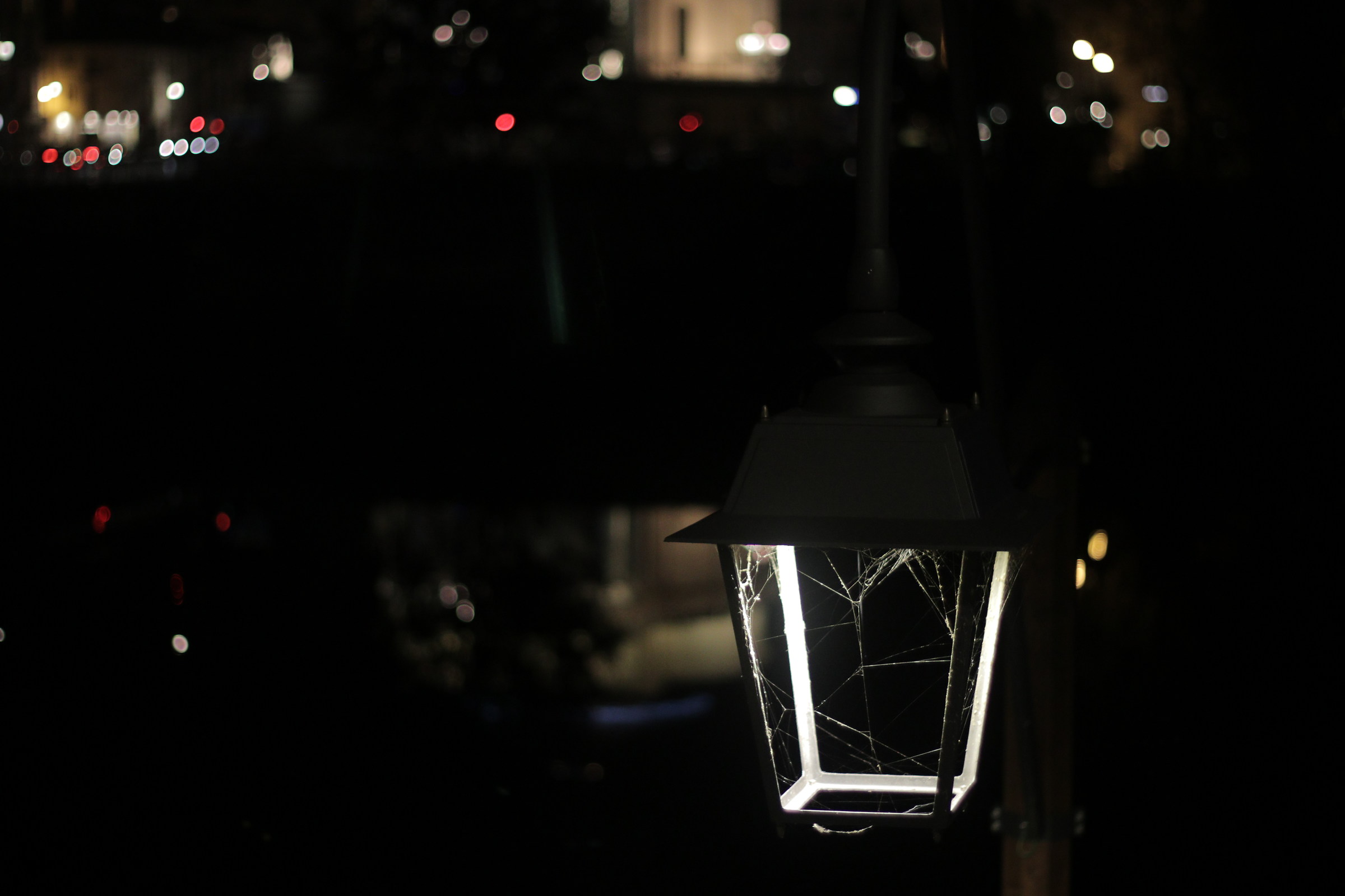 The secret inhabitant