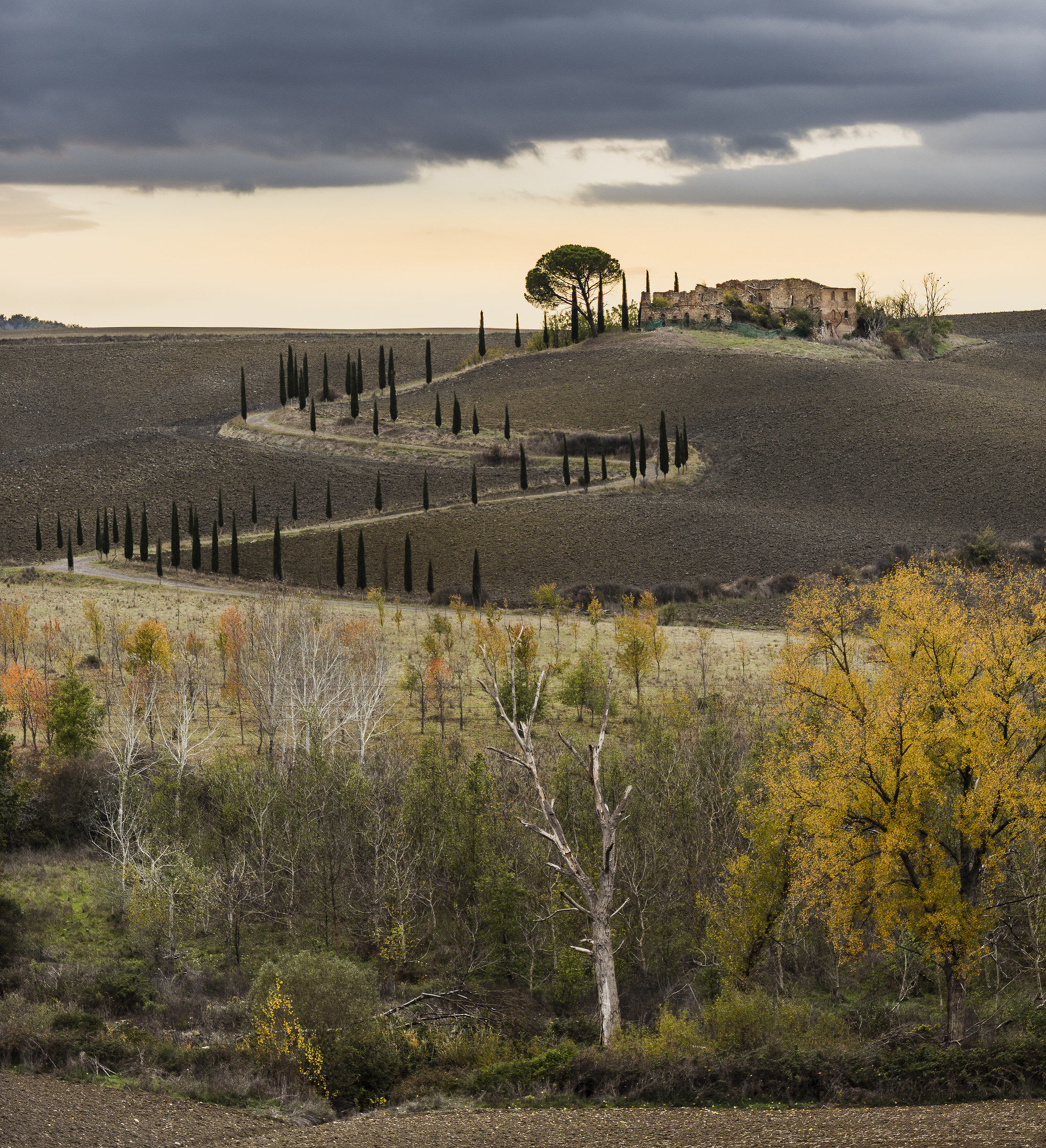 colori autunnali nella campagna senese