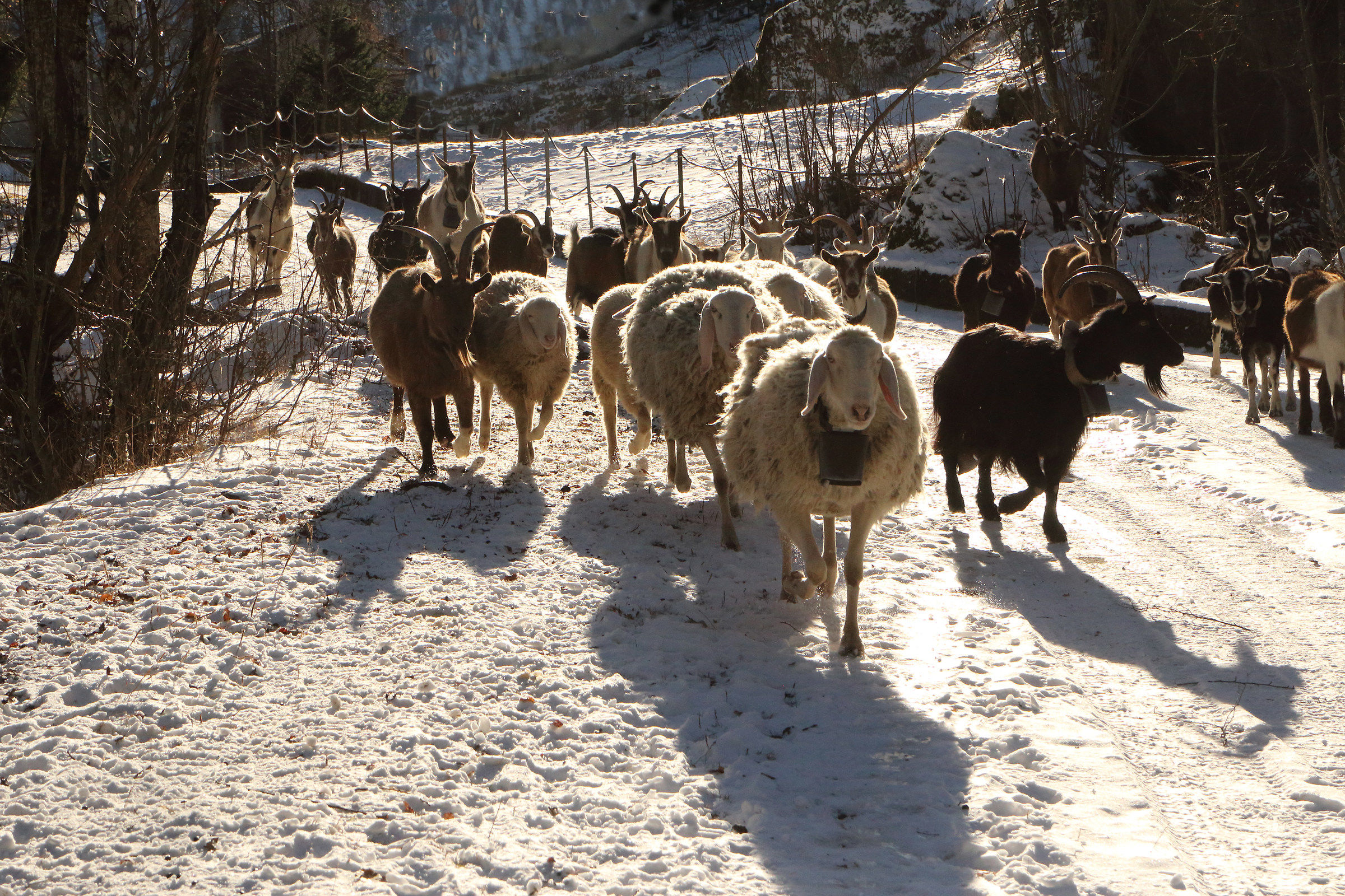si torna in "città"...
