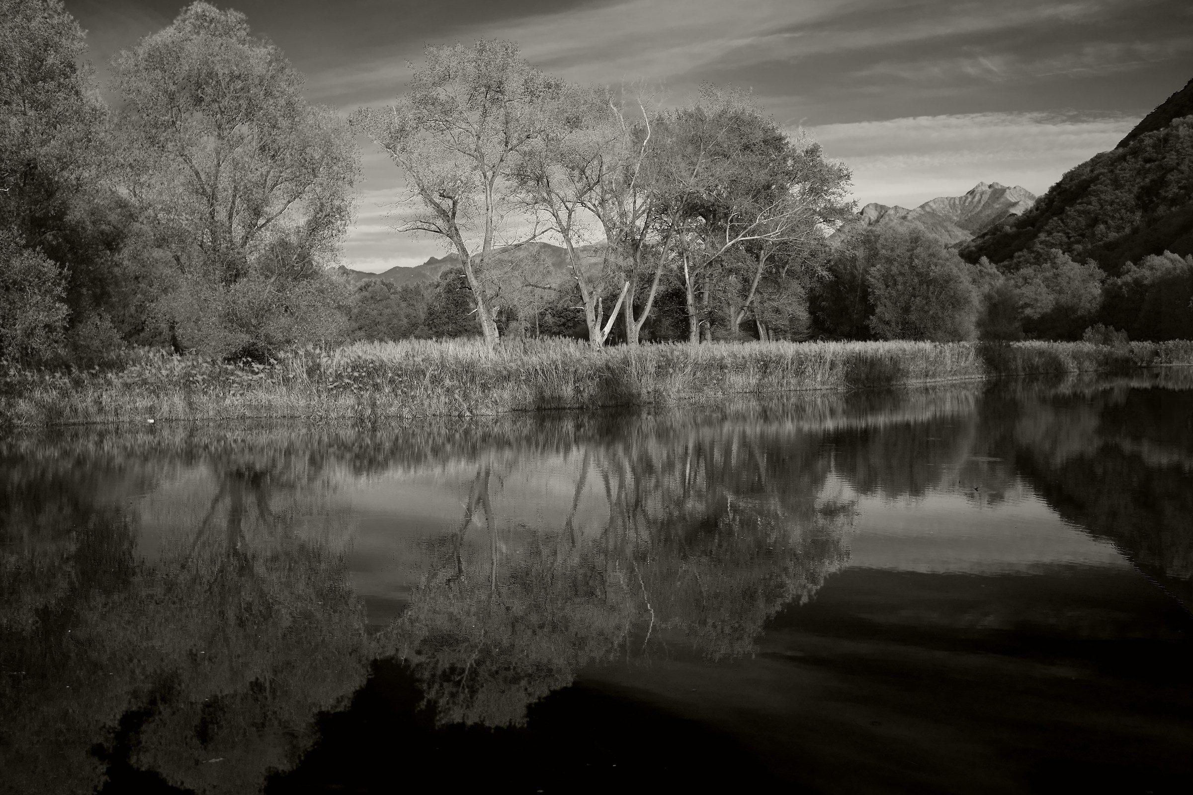 Bolle di Magadino, Lake Maggiore