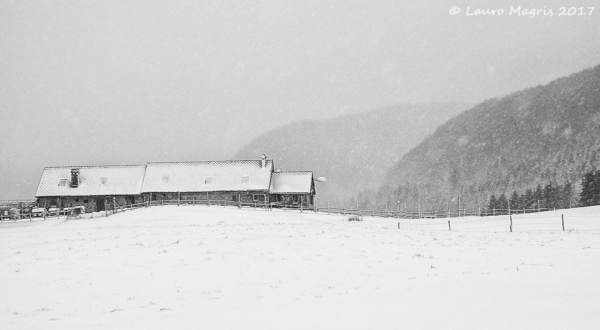 Bar bianco nel bianco