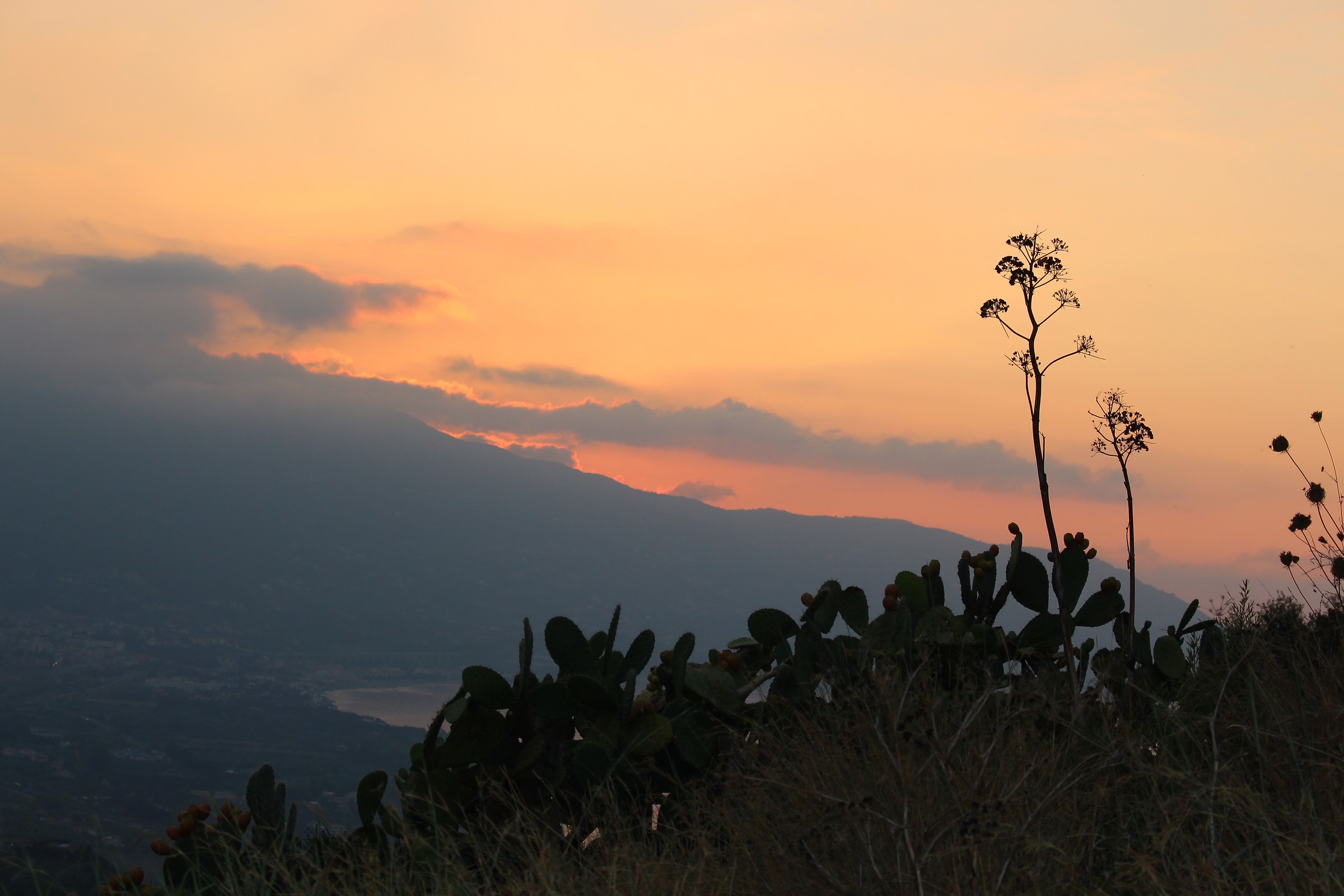 The last light of the sunset