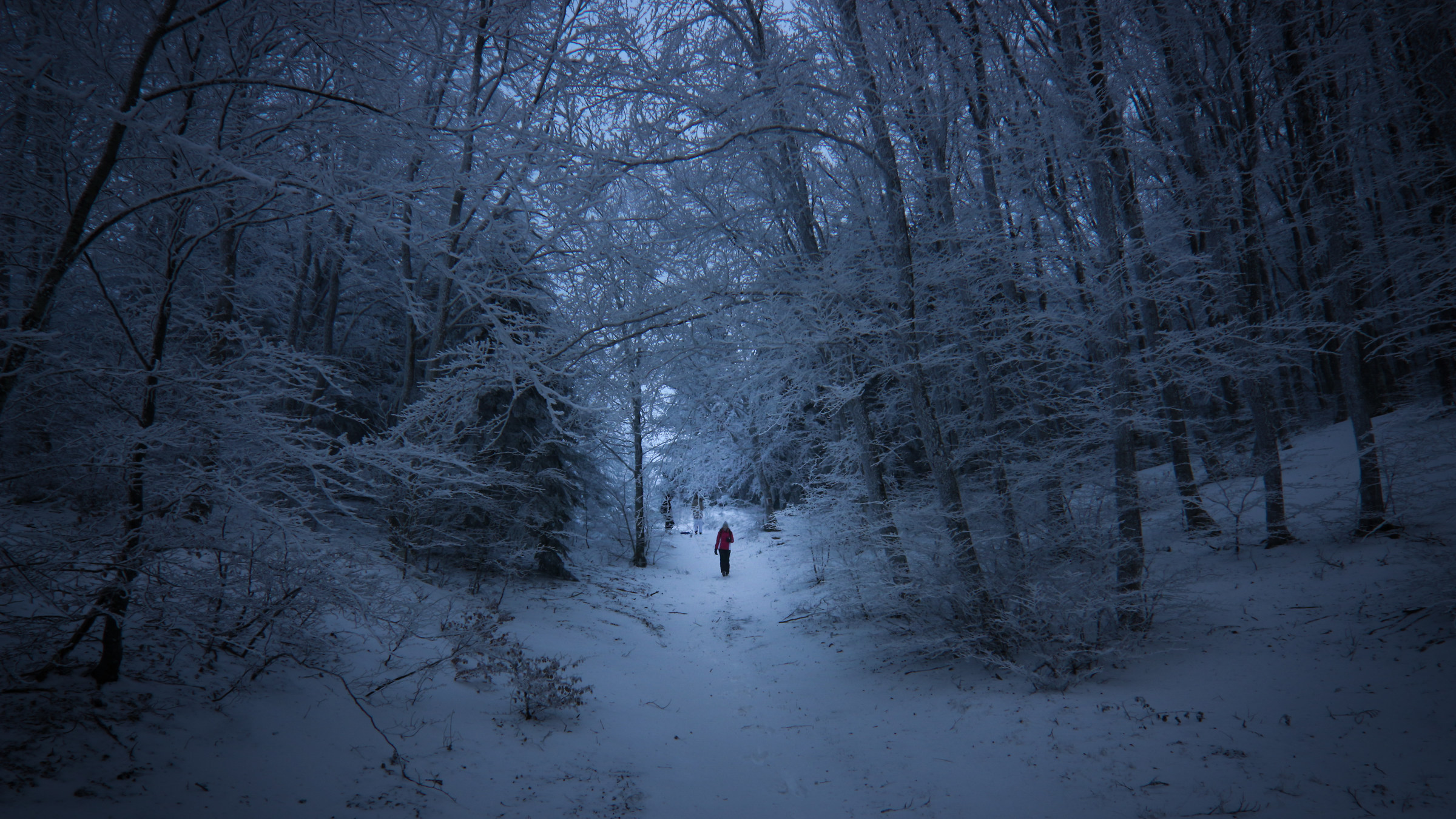 Centro di gravità permanente
