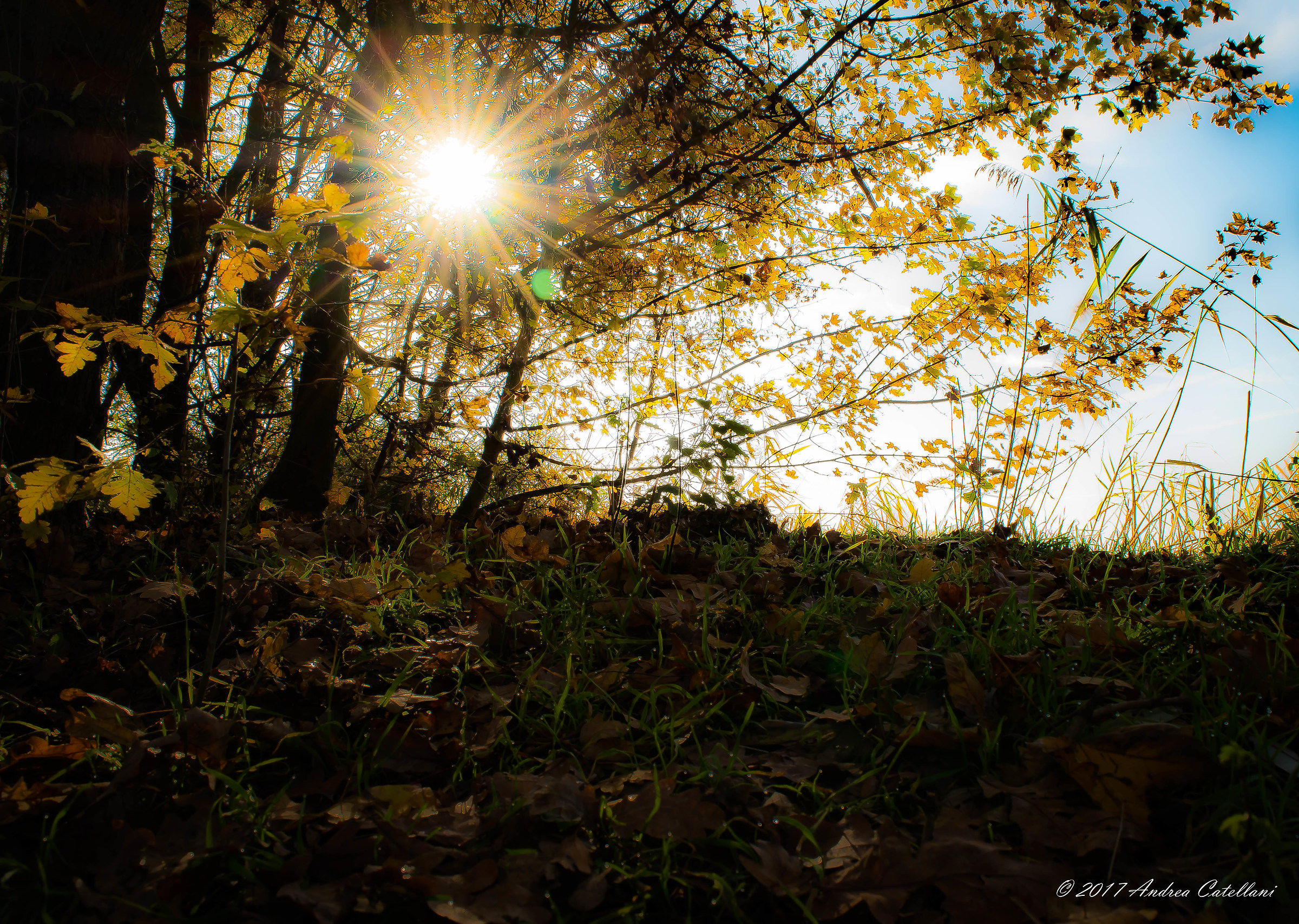 Autumnal inspirations