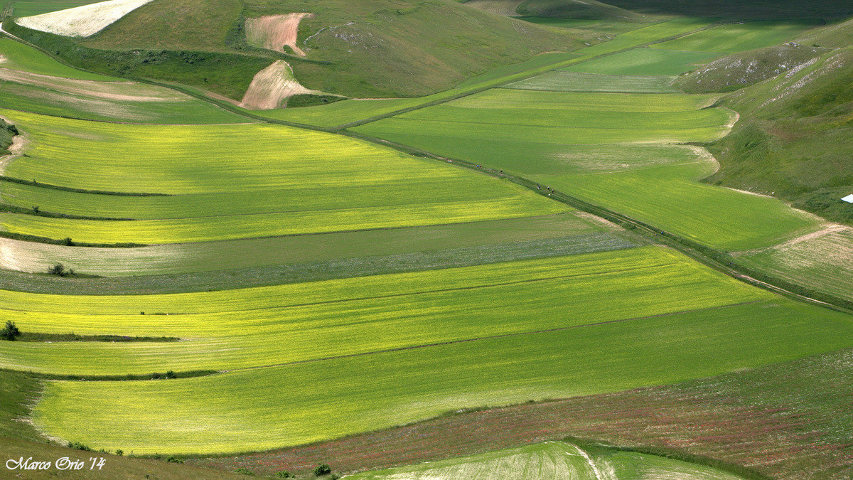 Castelluccio di Norcia
