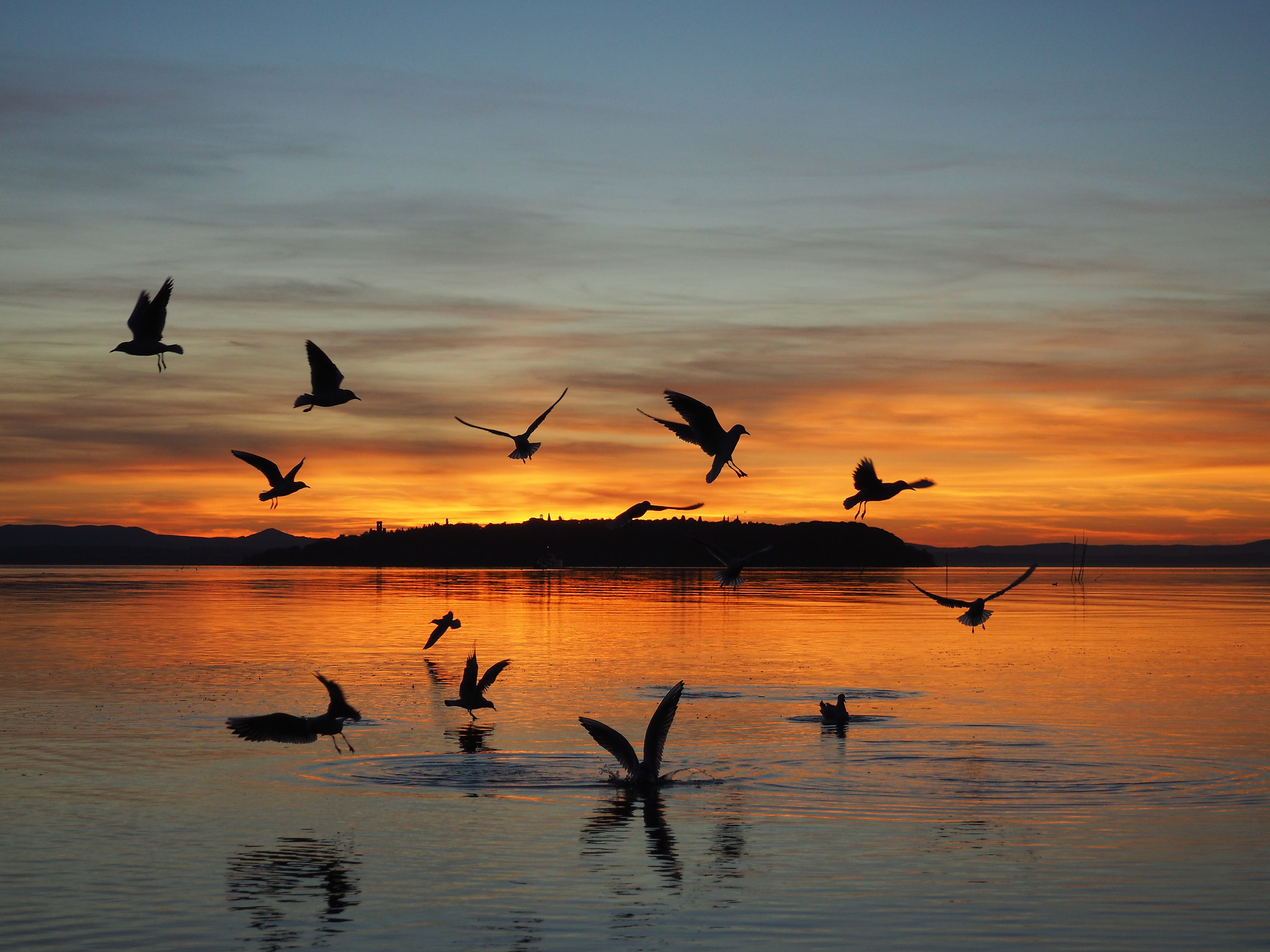 Lago Trasimeno - Passignano al tramonto