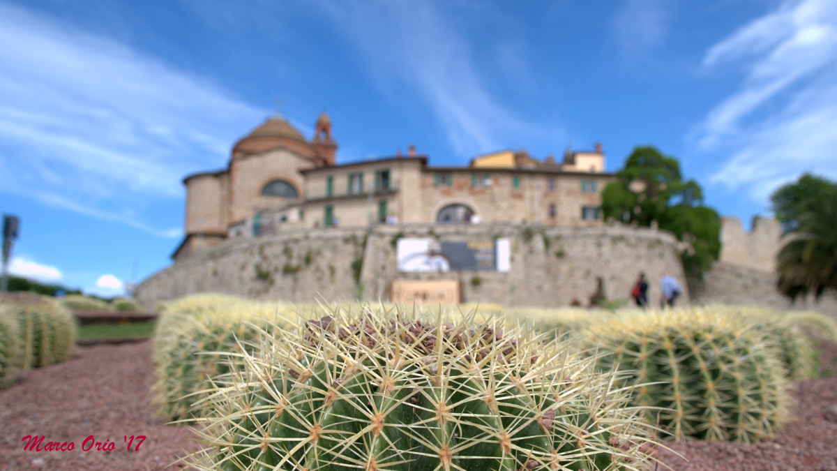 Castiglione del Lago (PG)