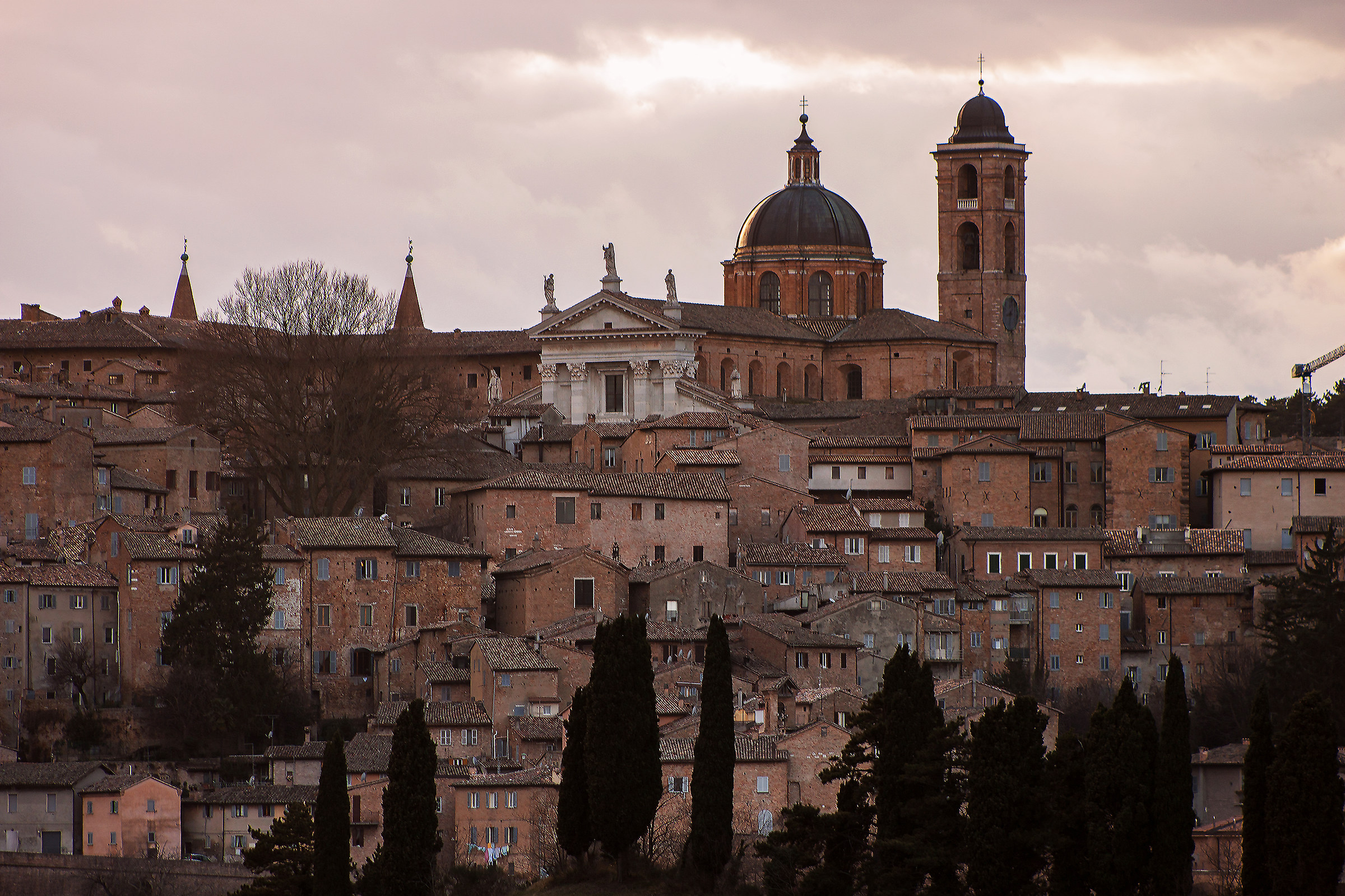 Urbino