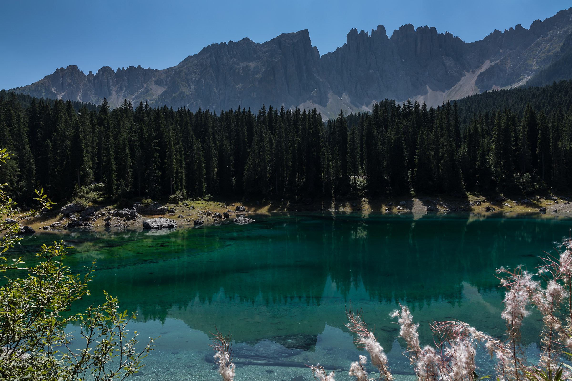 Carezza Lake