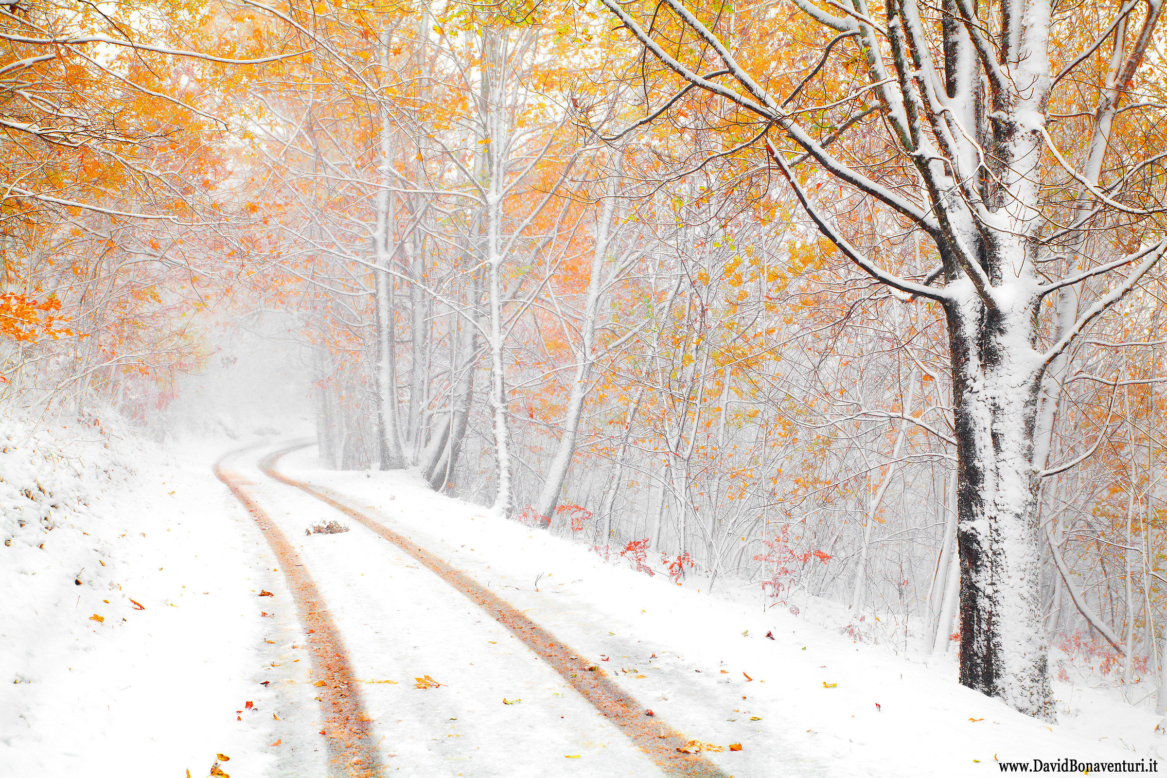 Love meeting between snow and autumn