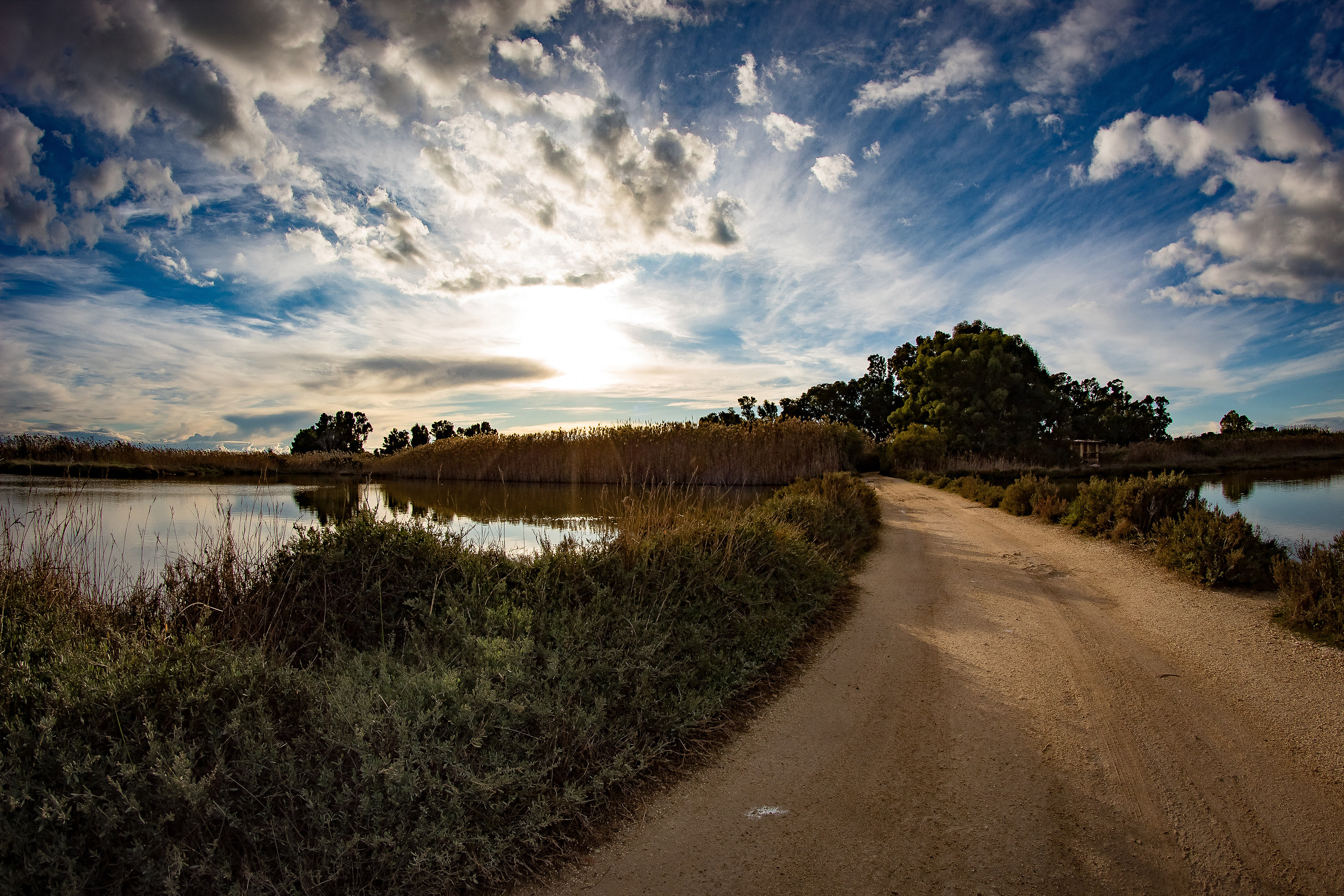 Untitled Photo