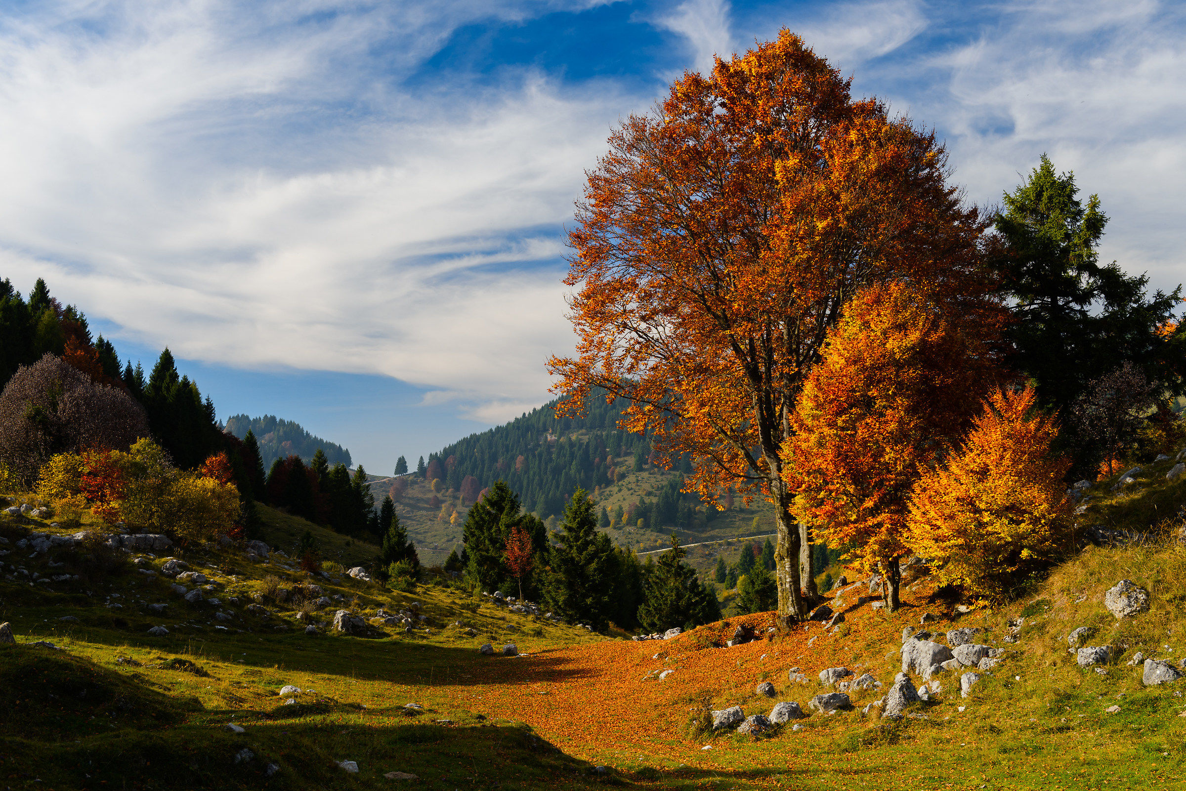 Autumn in Mount Grappa