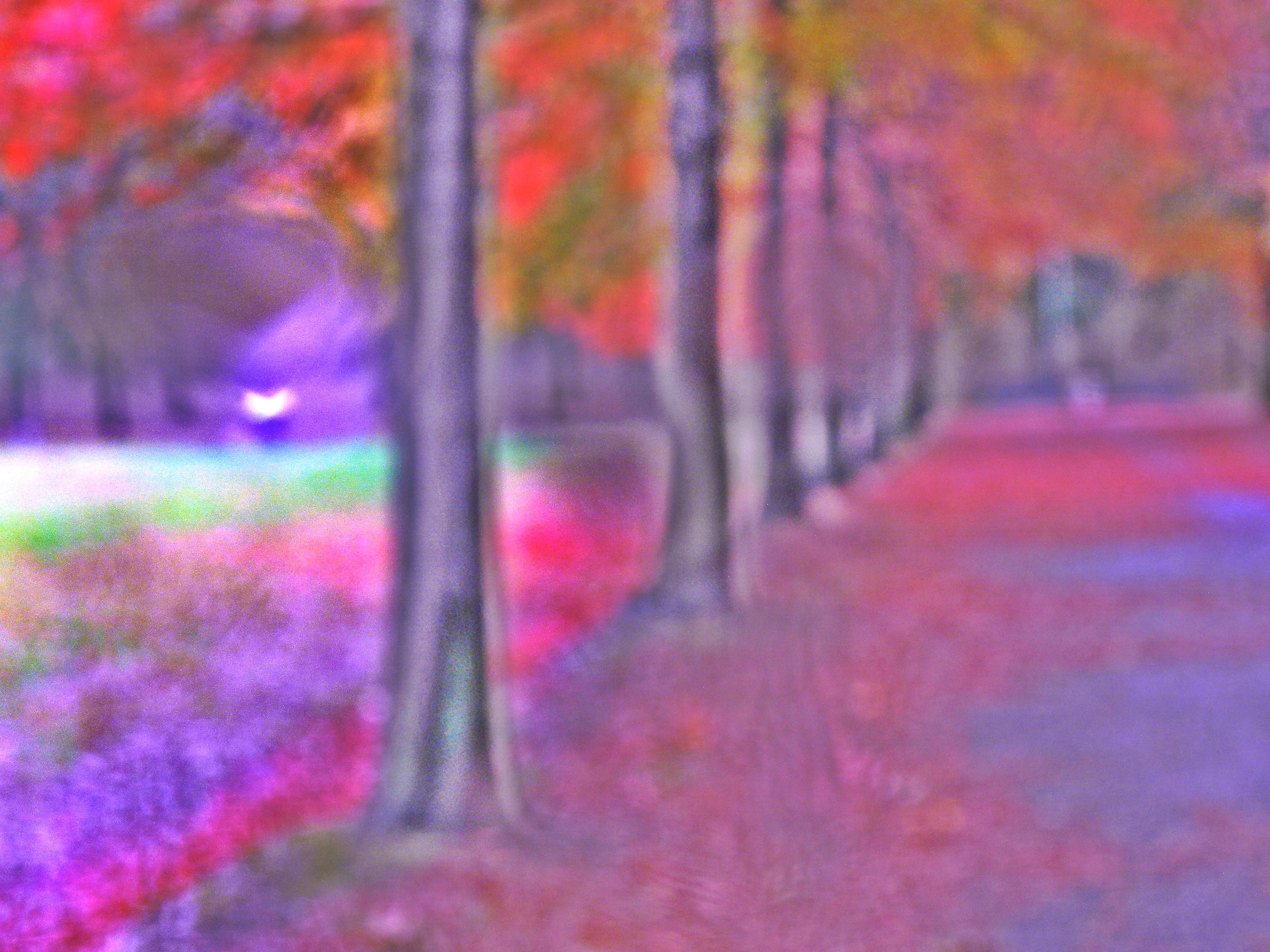 3051 - viale del tramonto - MI Milano Montestella