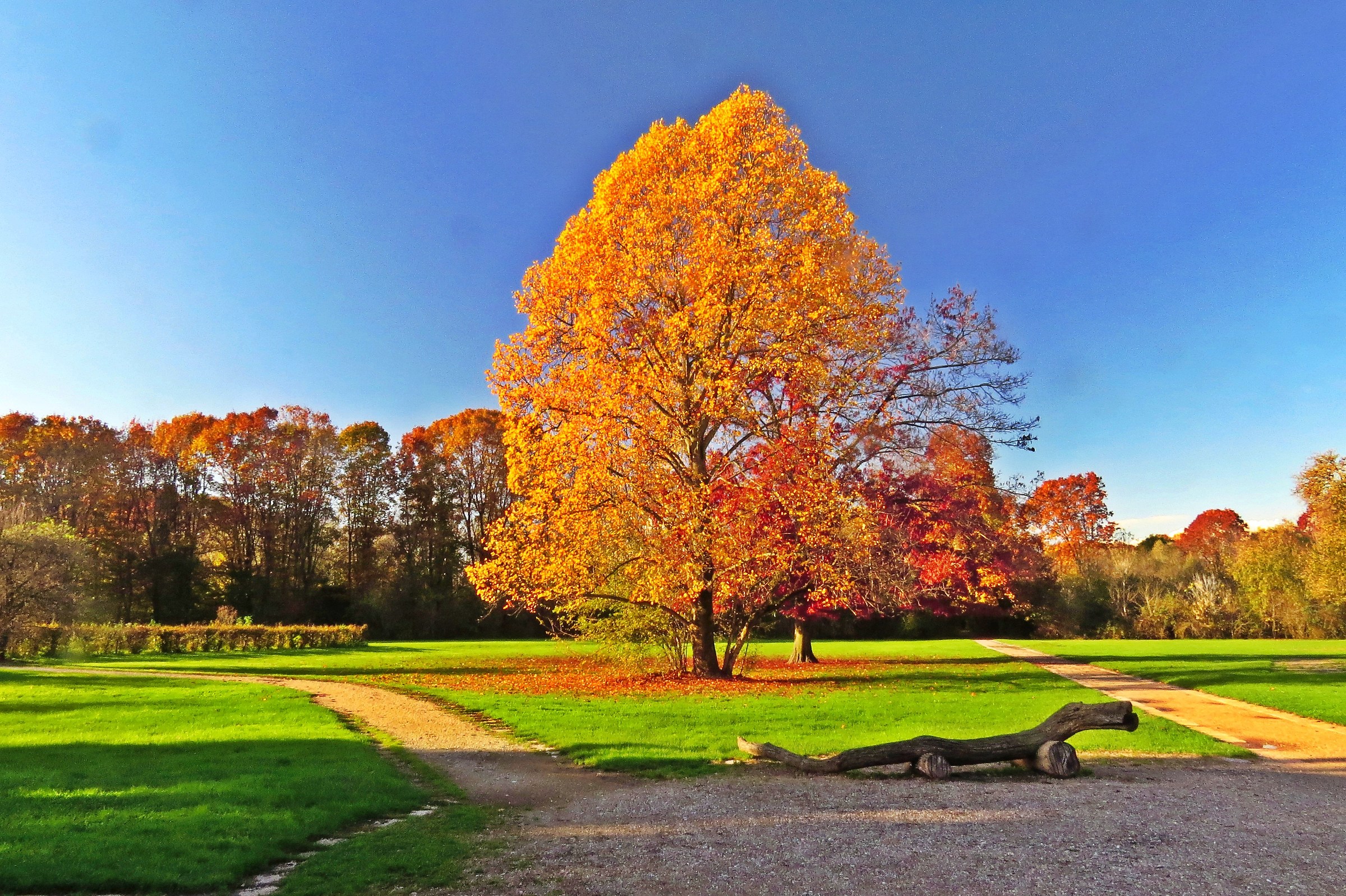 3177 - alla fine dell'estate - MI Milano