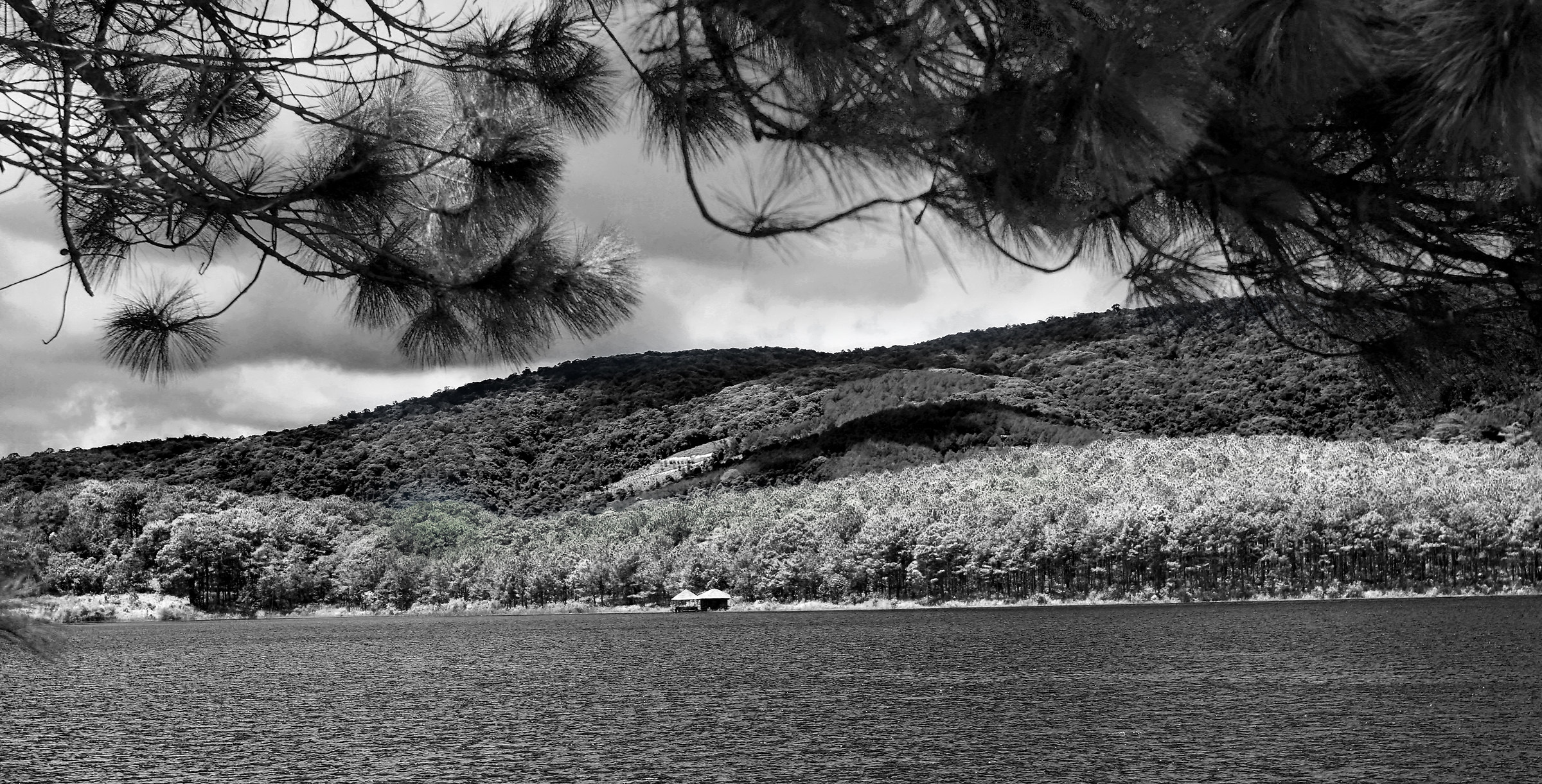 Lago Tuyen Lam, Dalat
