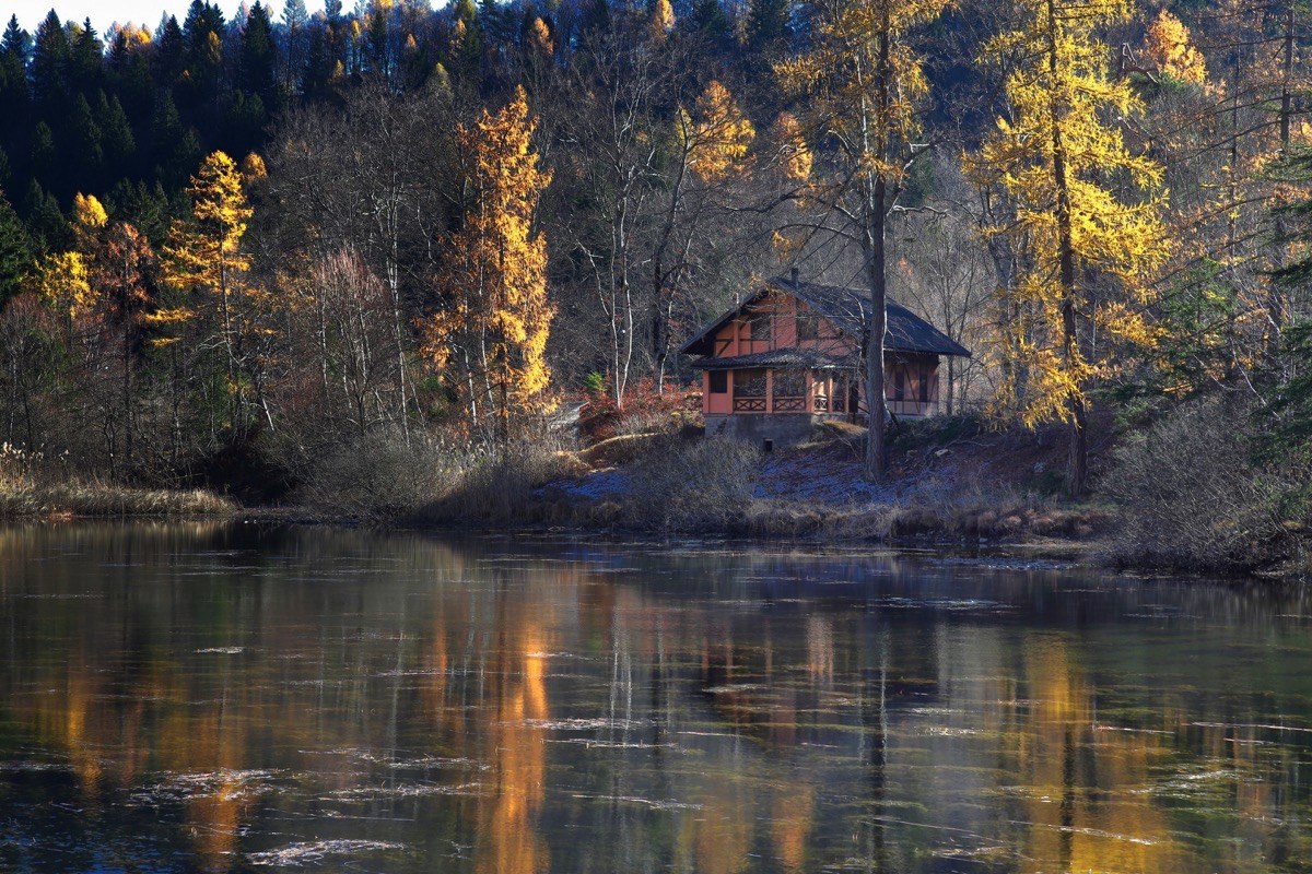 D'Oro i riflessi nei....