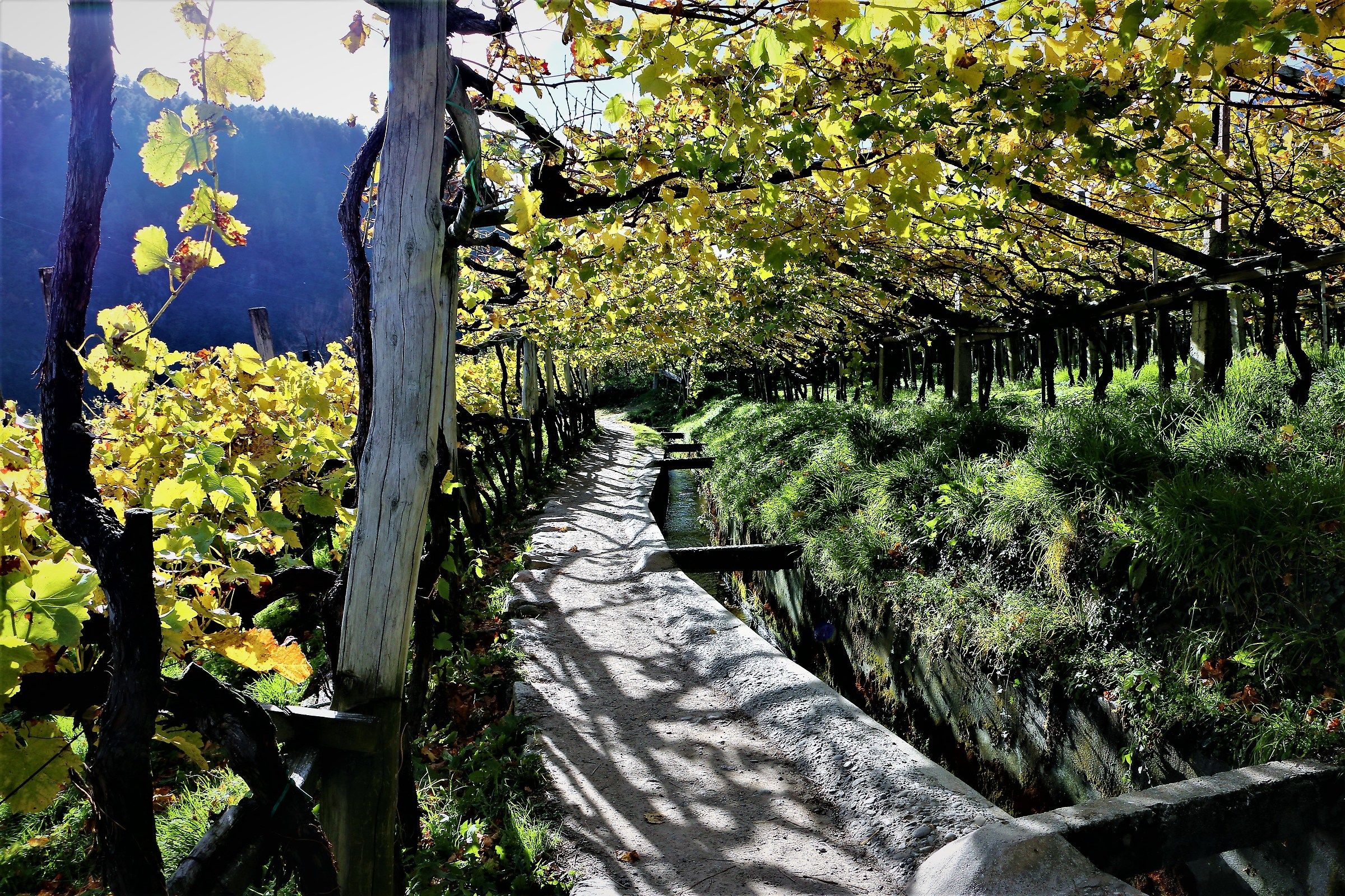 Explosions of green and yellow