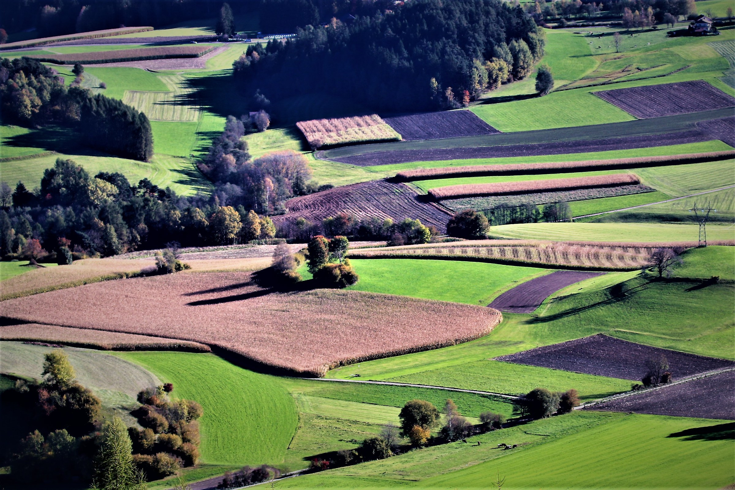 This is also South Tyrol