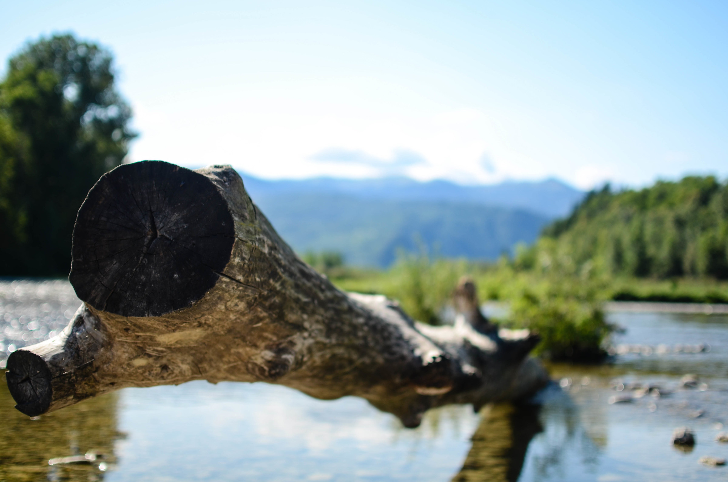 and trunk it in the middle