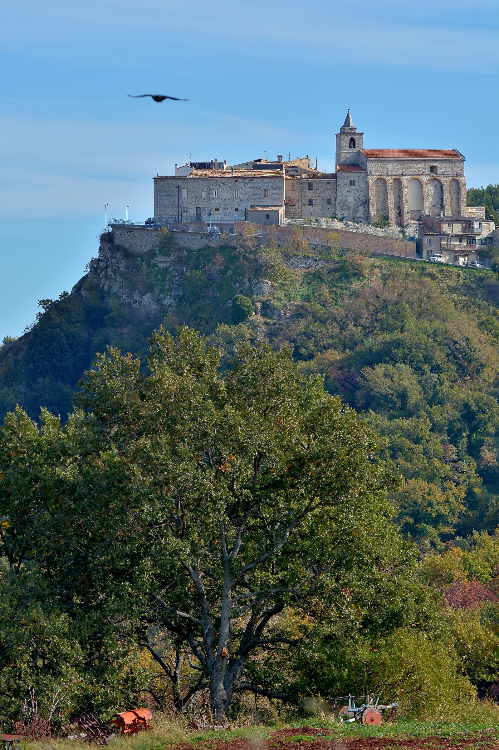 Ritorno alle Origini