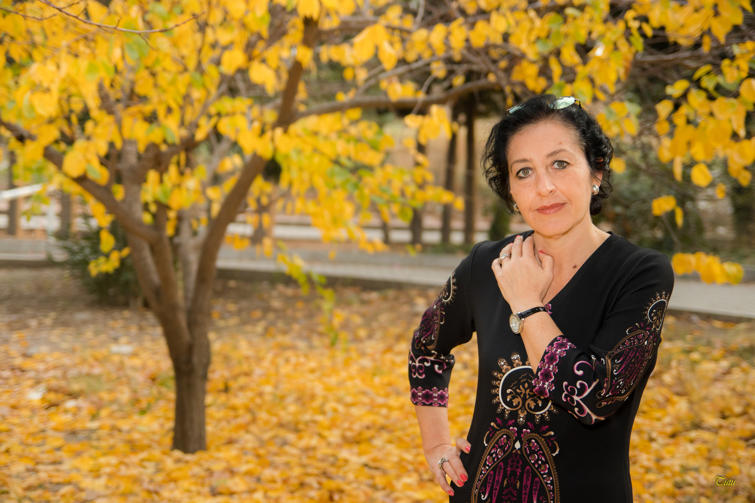 Last Lights of Autumn 2017