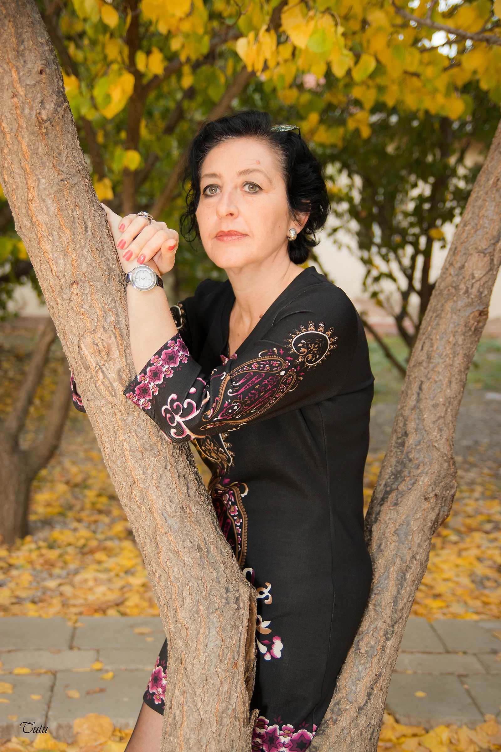 Last Lights of Autumn 2017