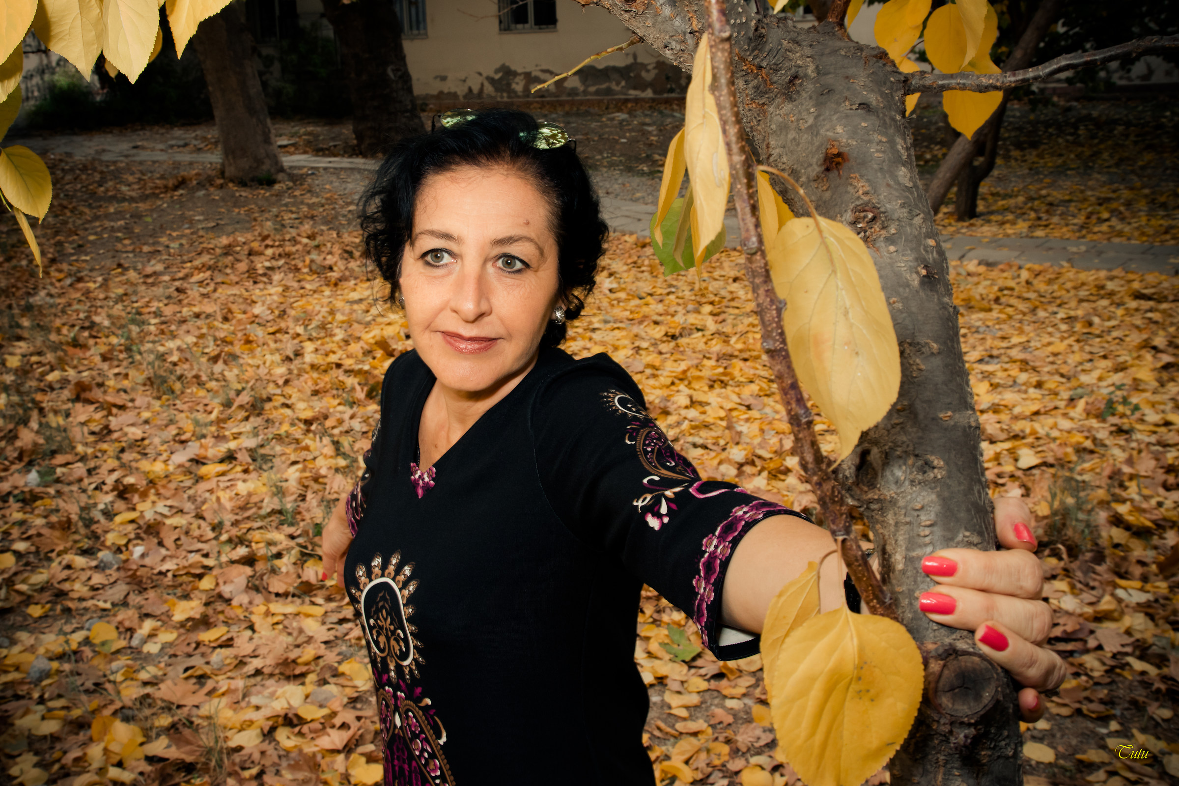 Last Lights of Autumn 2017