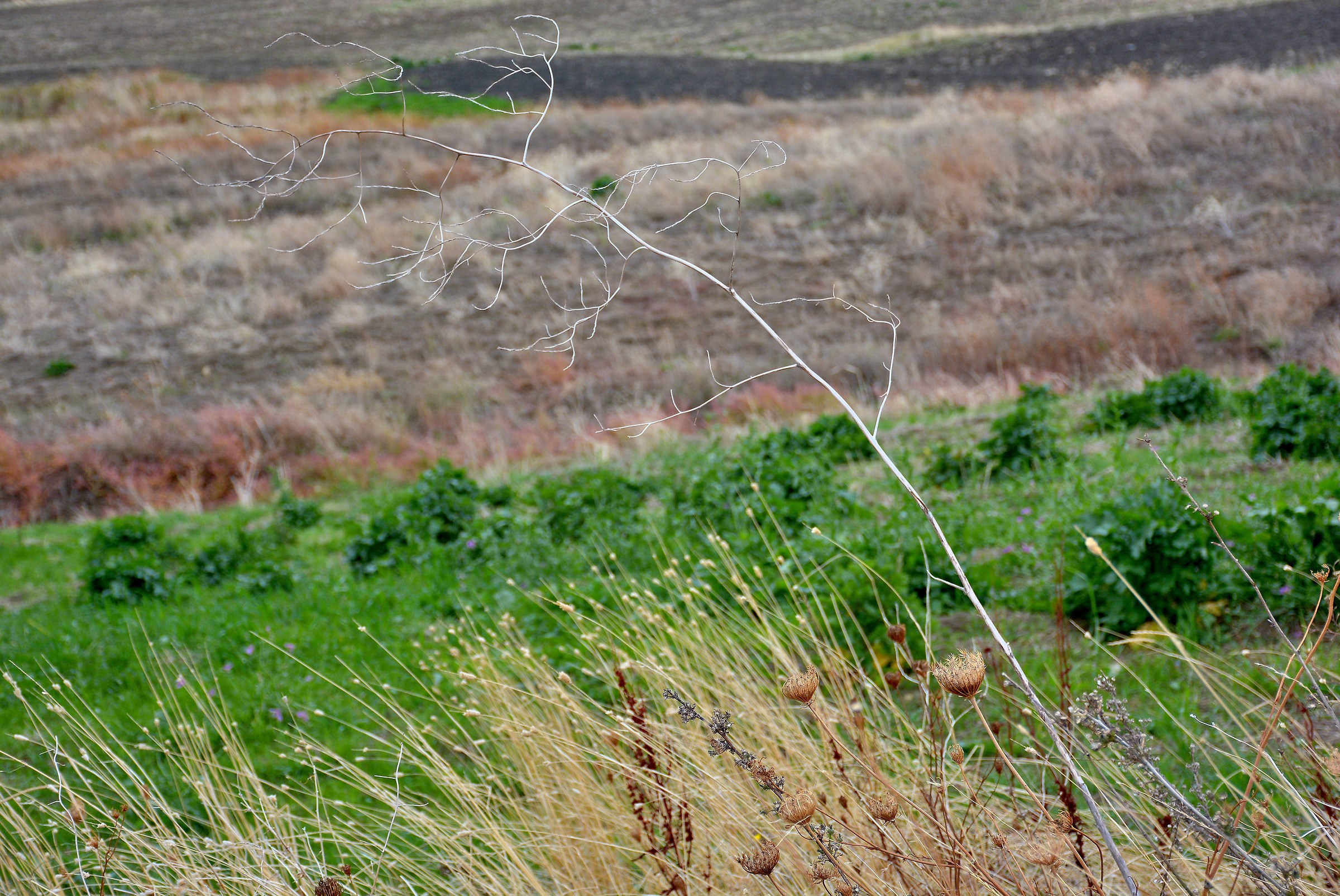 Mi Piego ma Non mi Spezzo